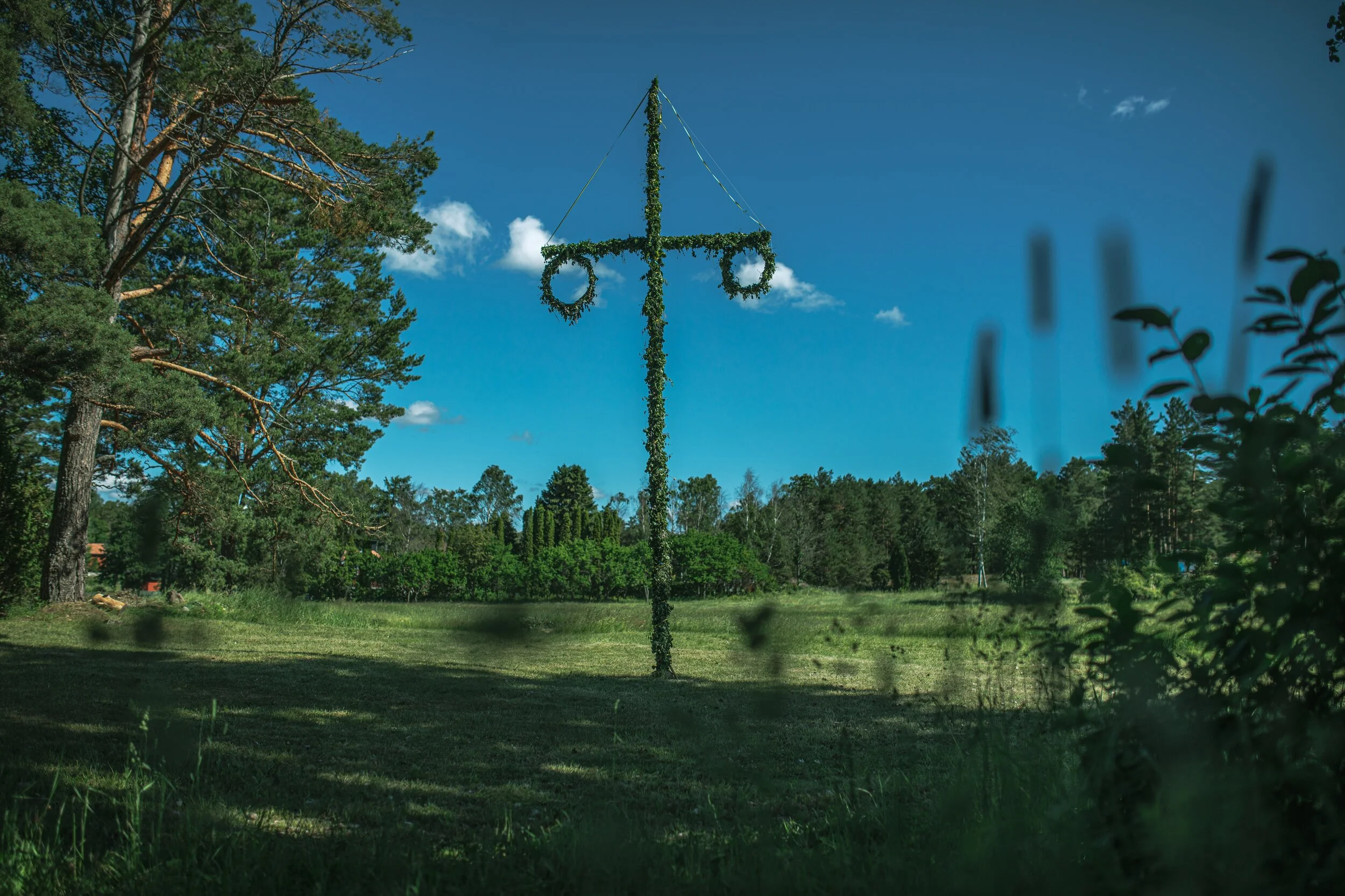 Midsommar Film Review: A 7-Stage Trip