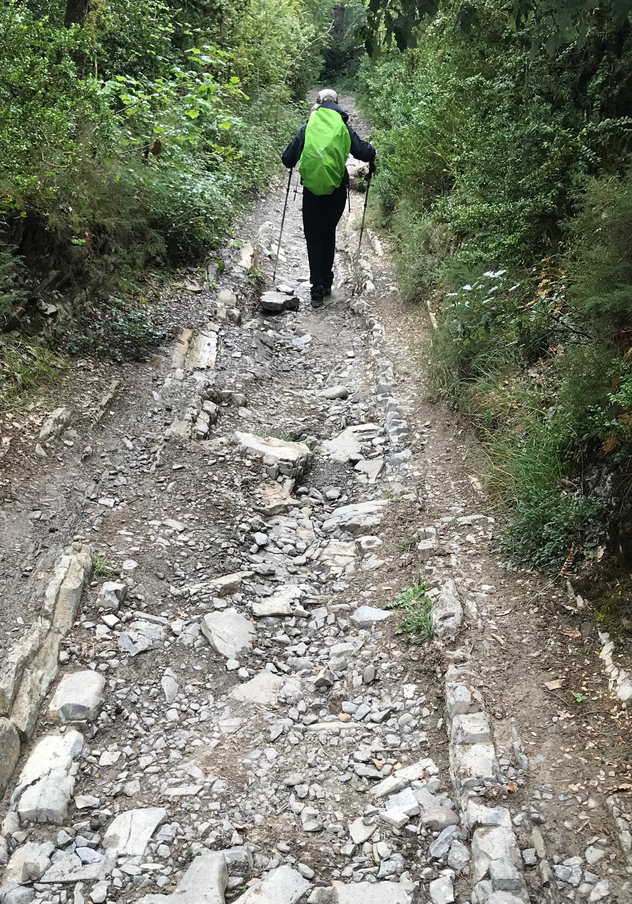 Camino de Santiago