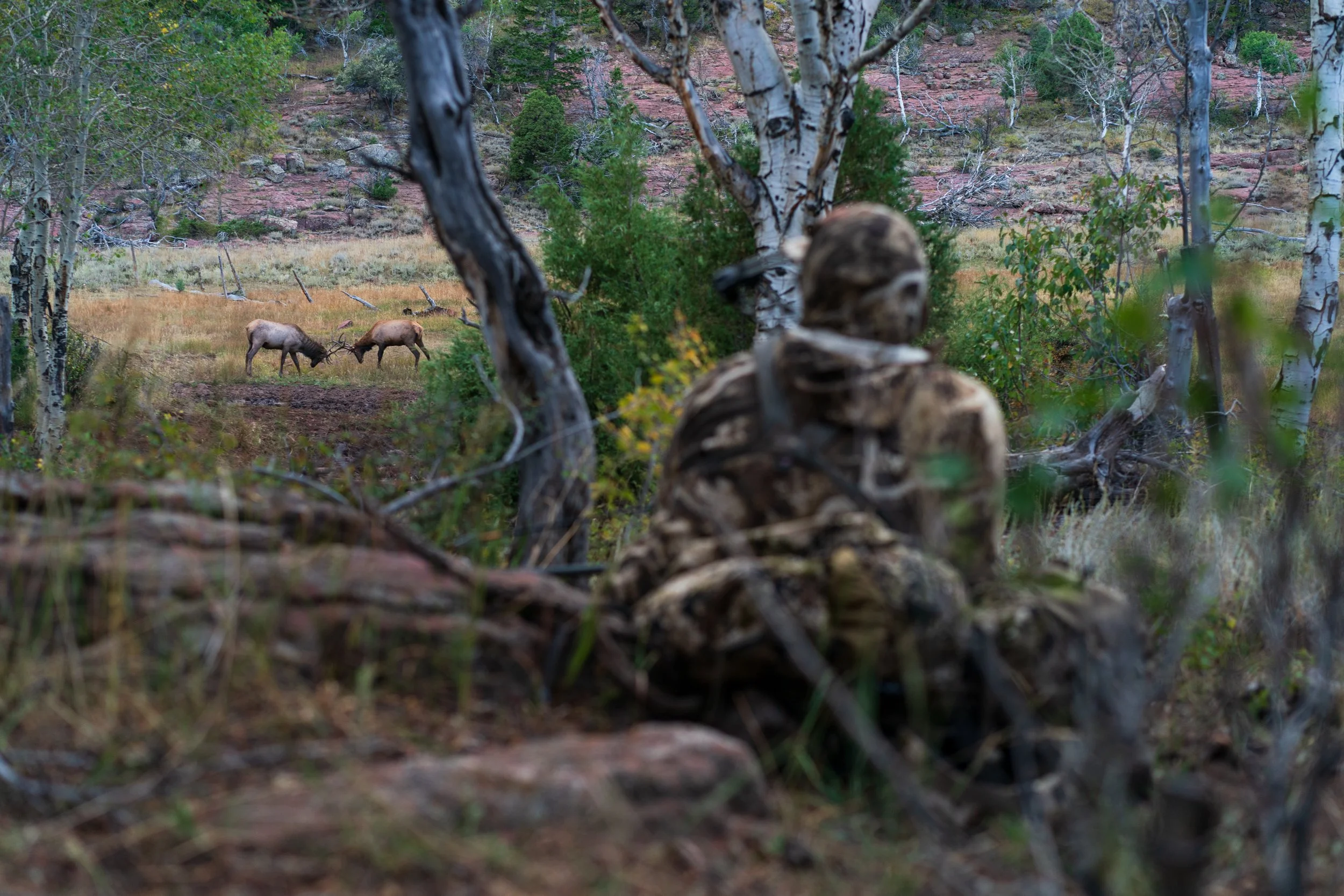 The Hunt