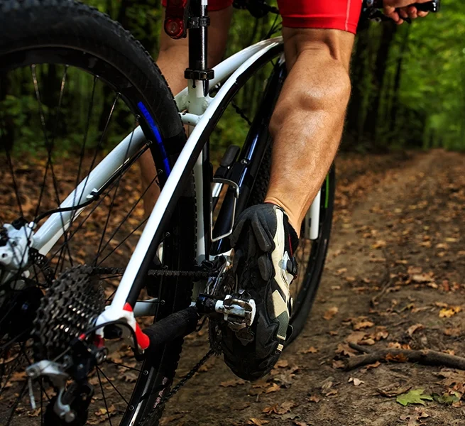 paradise royale mountain bike trail