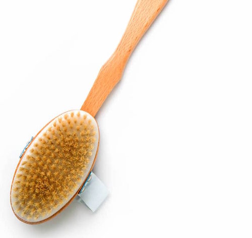 THE ORGANIC PHARMACY SKIN BRUSH