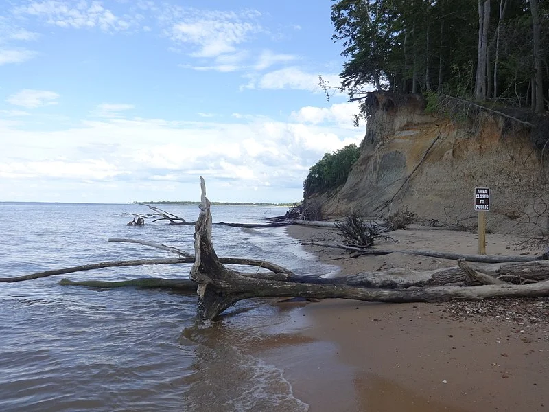 Calvert Cliffs State Park