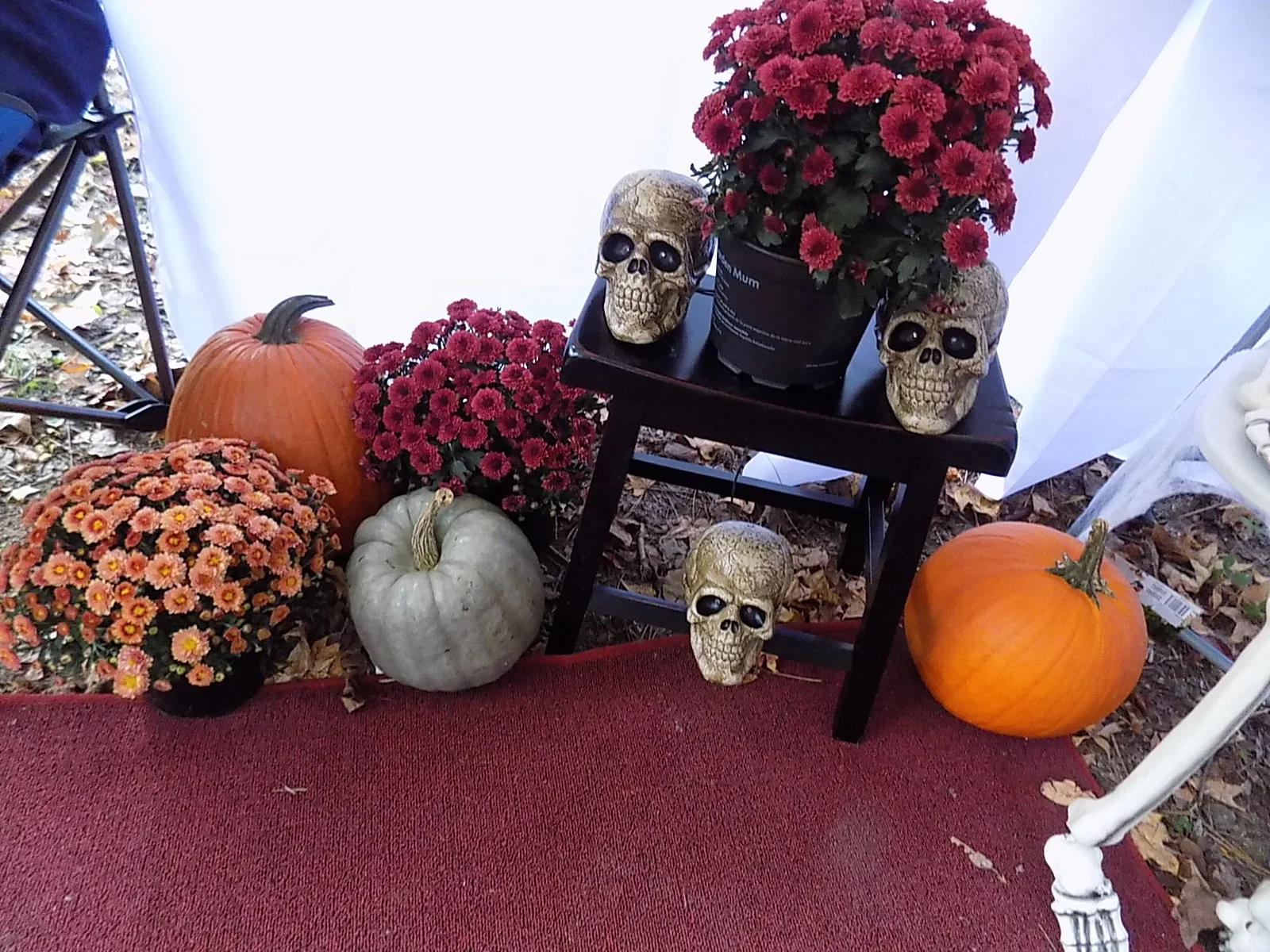 DSCN4833.JPG