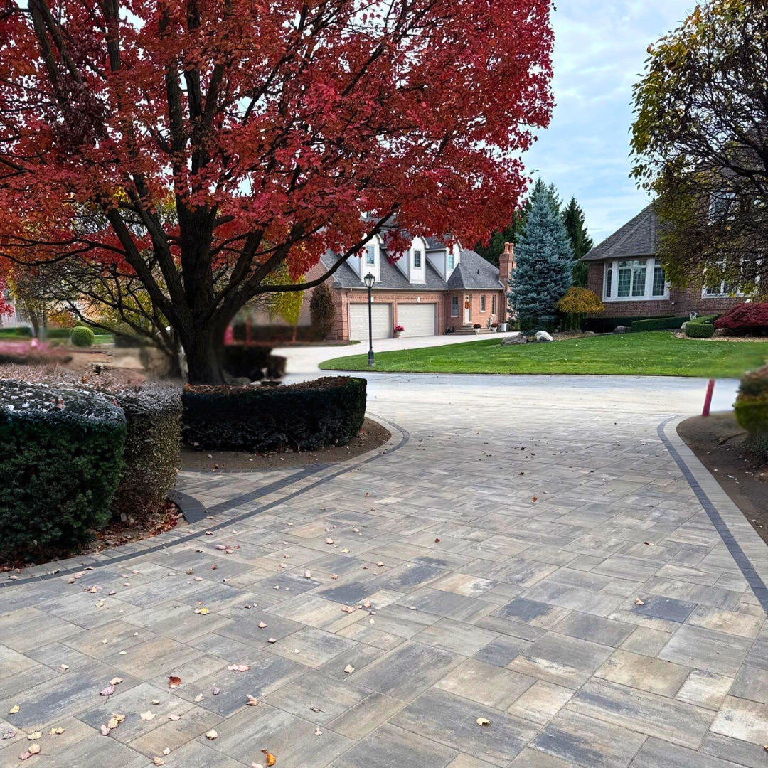 driveway with pavers under tree