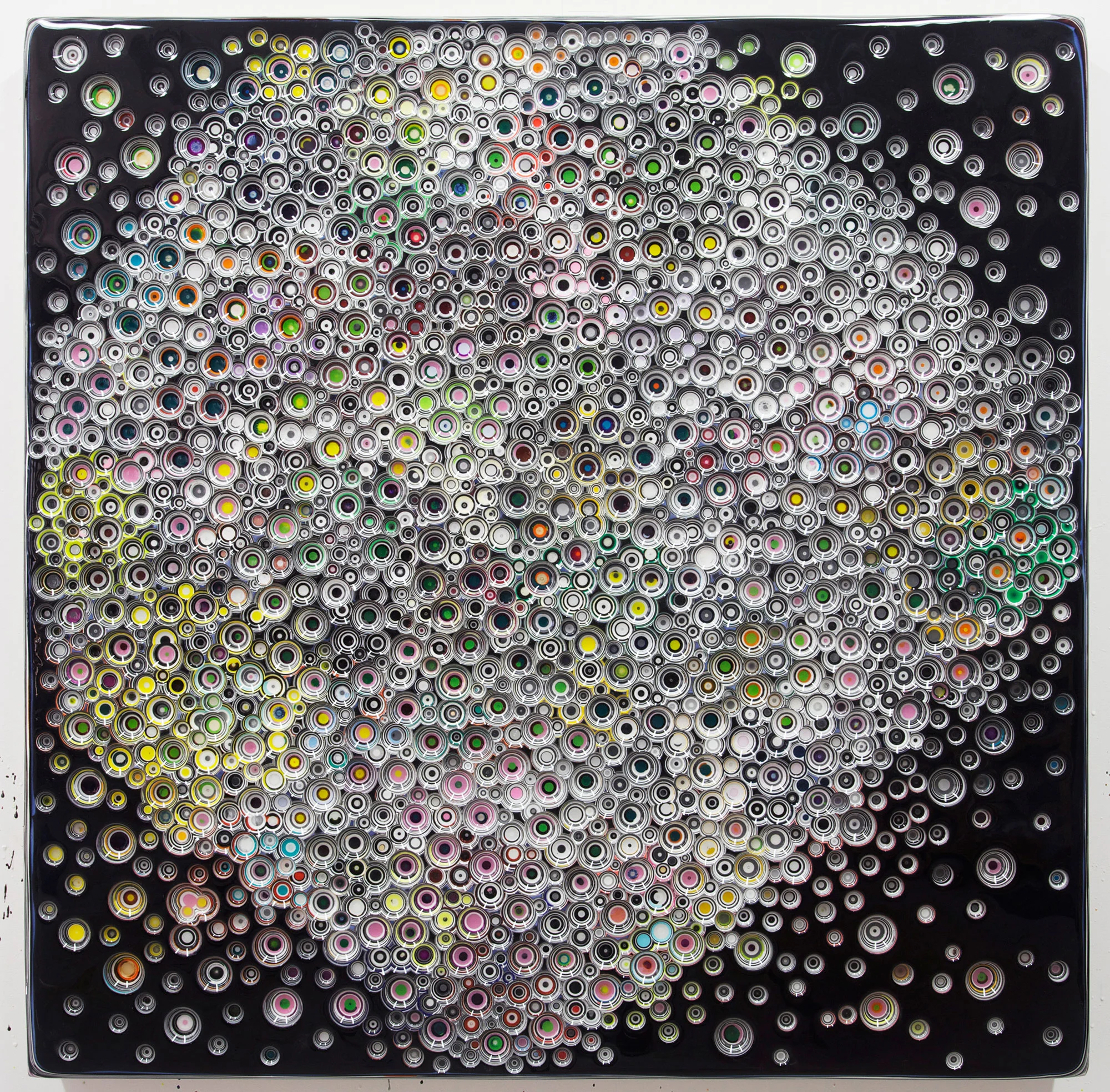 THEYSAYIAMDIFFERENT, 2013