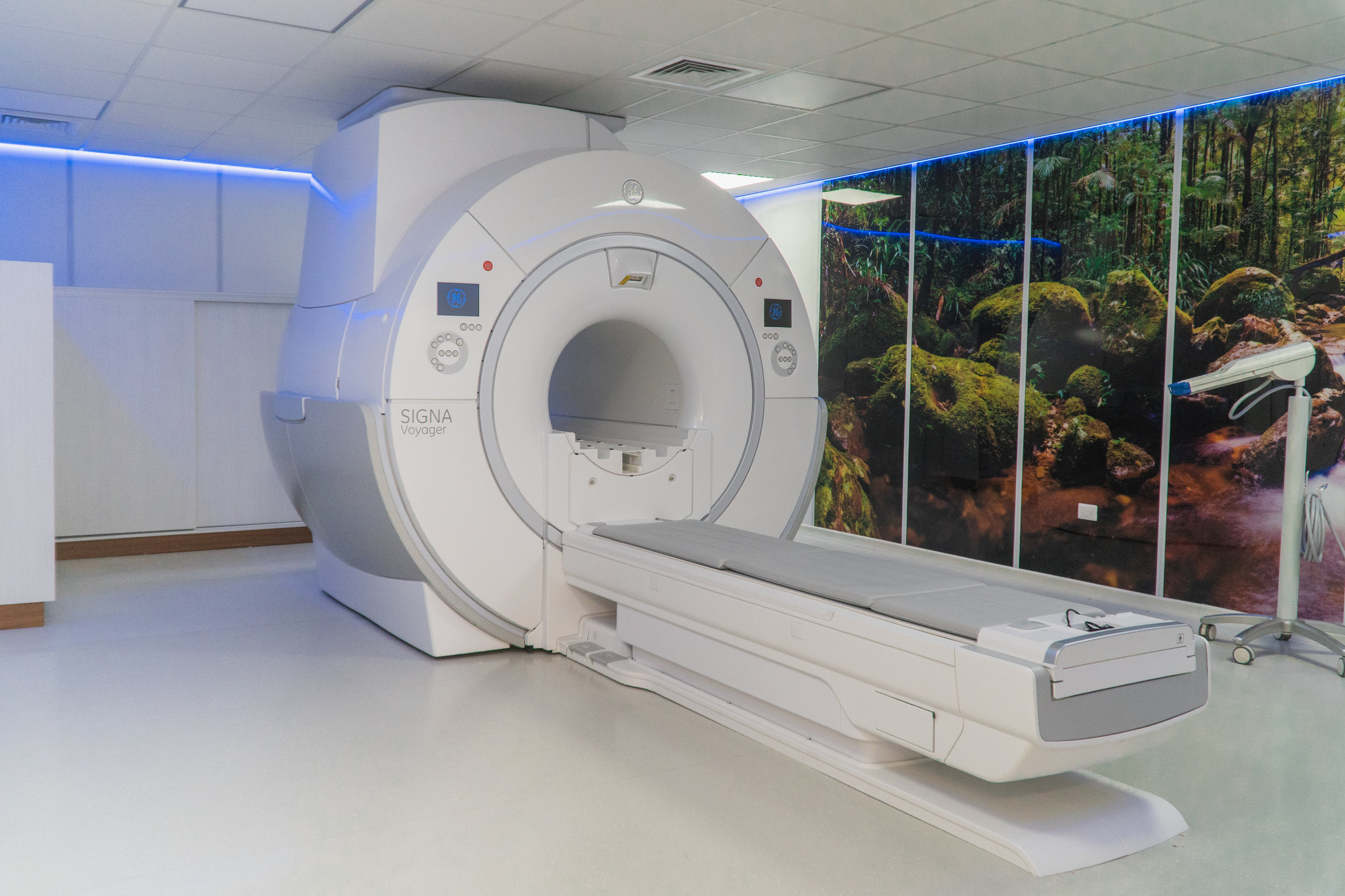 MRI2.jpg