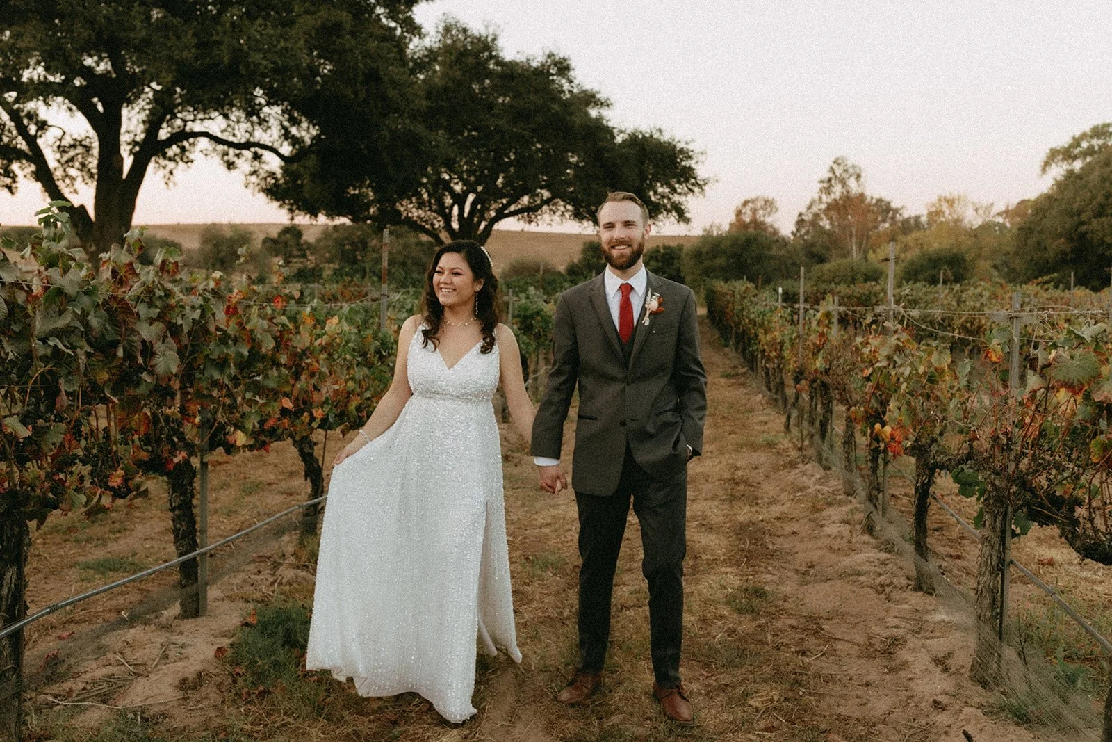 Sharon's Vineyard