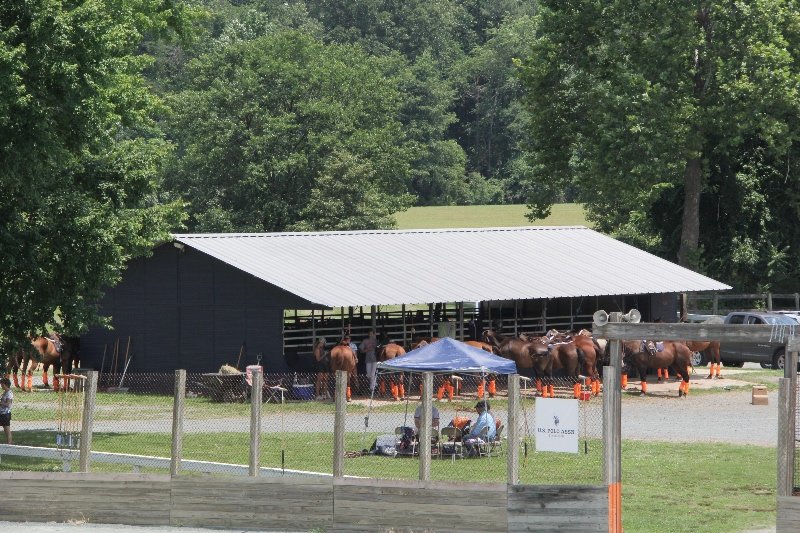Players' Tent and Ponies