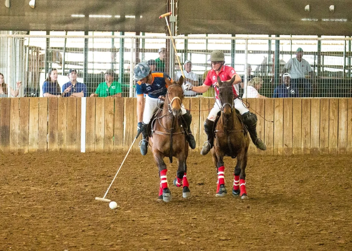 Makhdum Mourad. Photo by Oana Moore