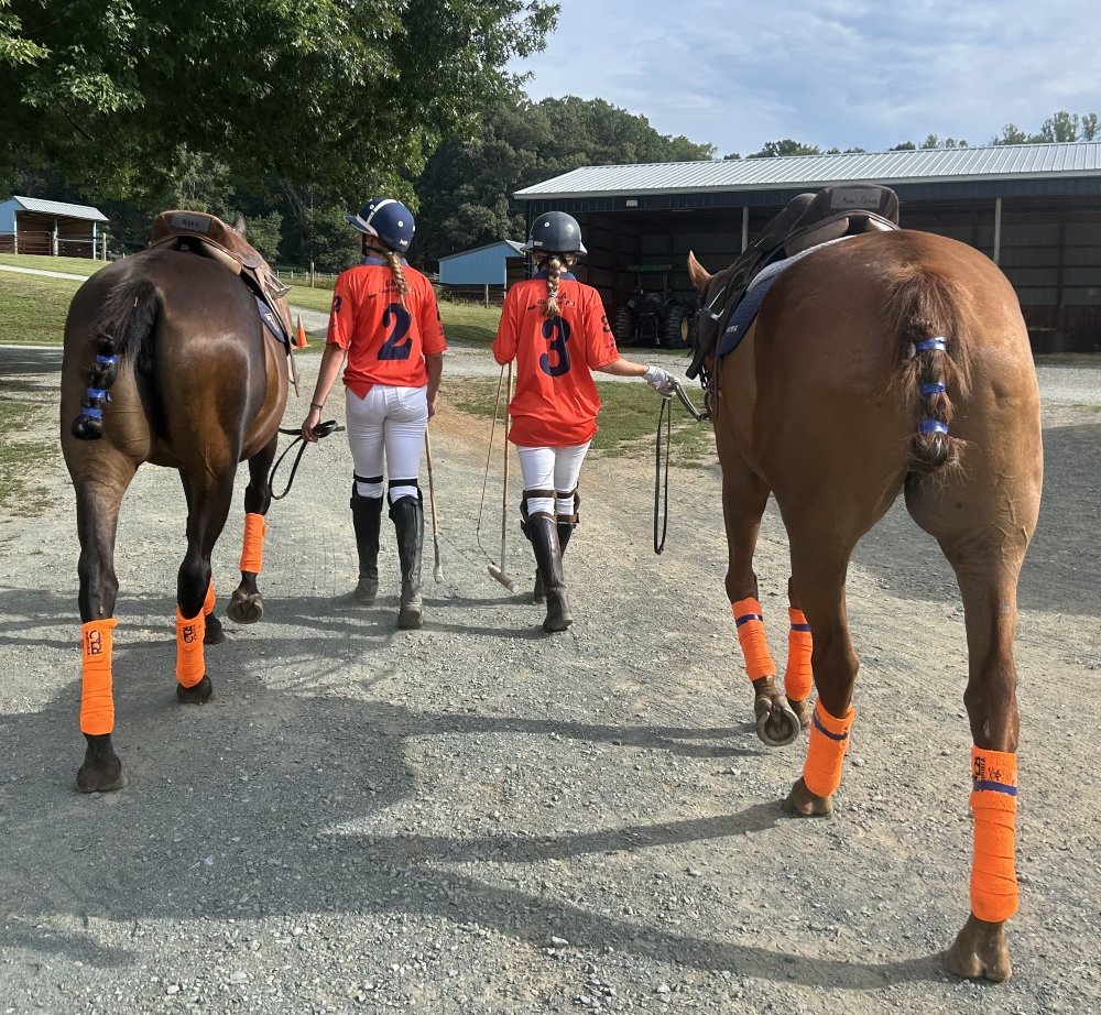 2026 PTF Clinic 1-7.jpg