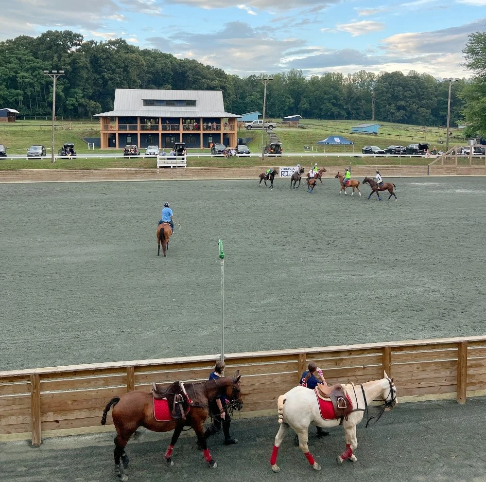 Evening Chukkers