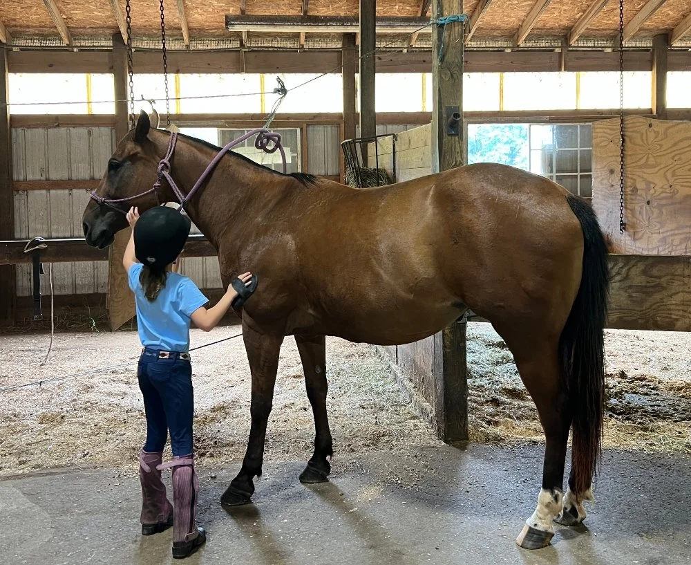 2026 Intro to Polo Camps
