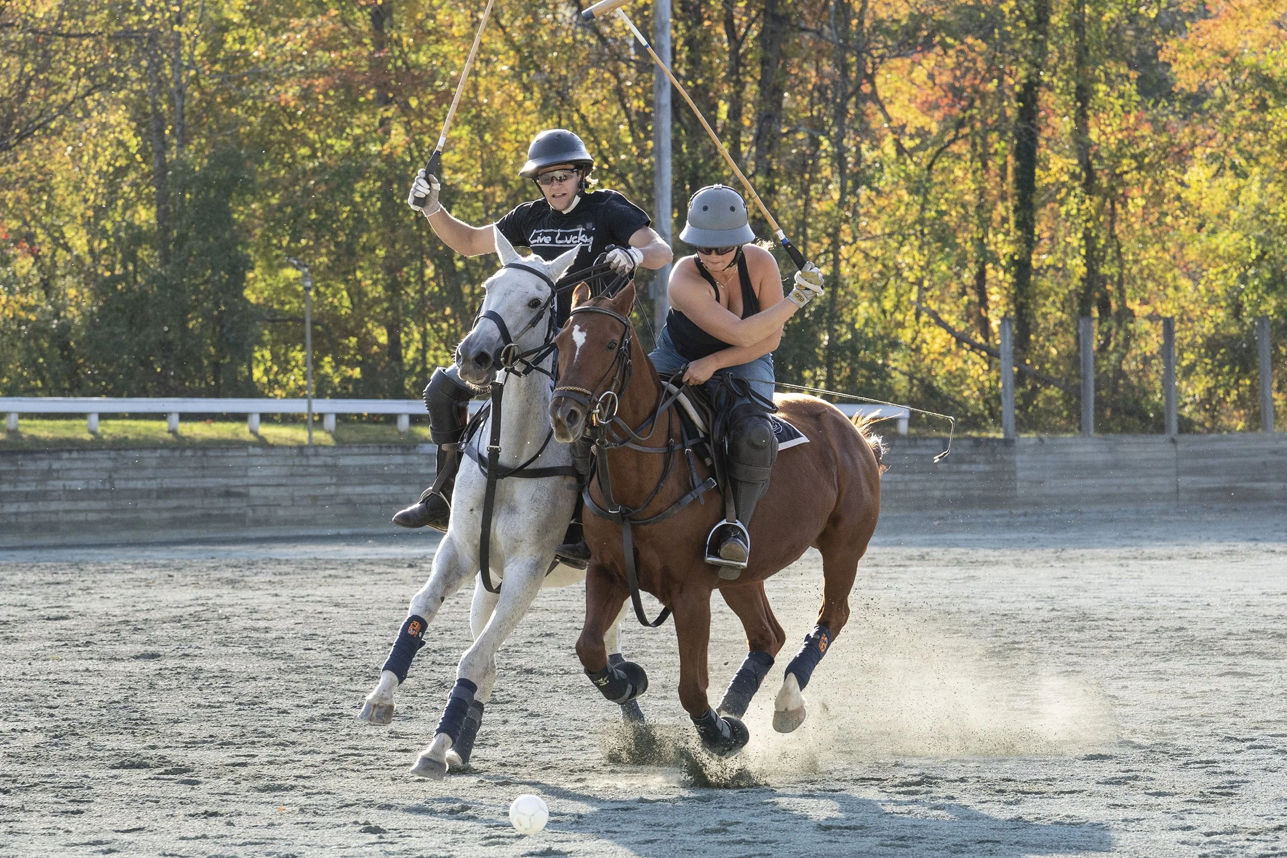 Polo_Visit_12_DA.jpg