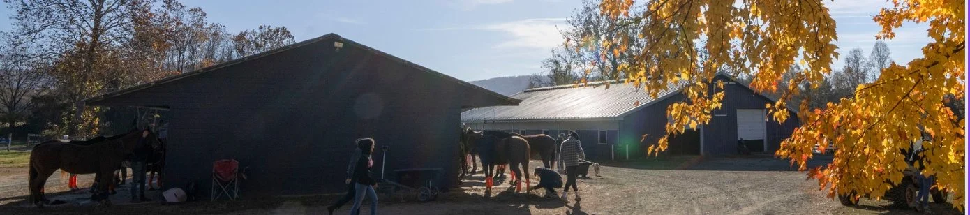 Blue Barn Smaller.jpg