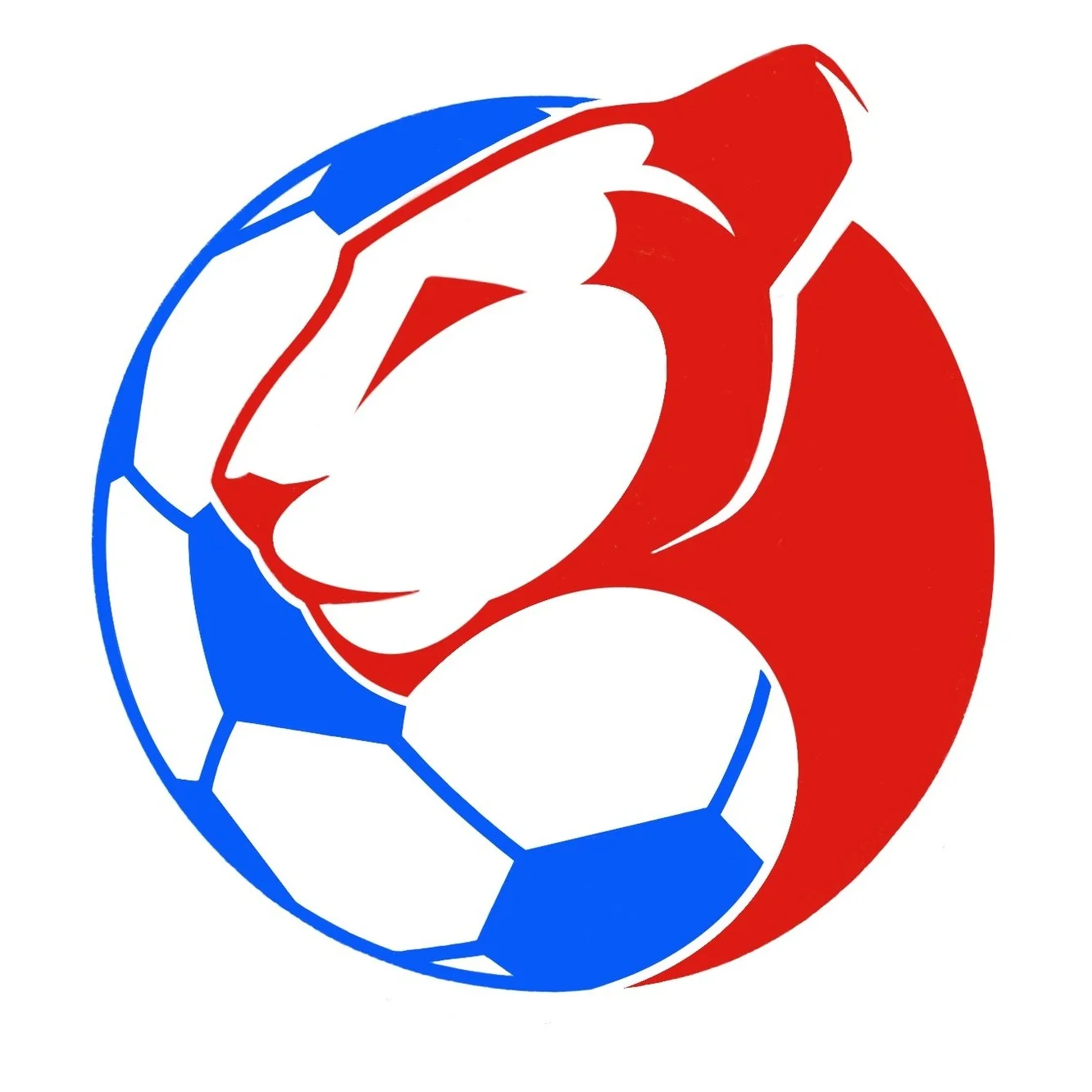 Pride Girls Soccer - South Korea