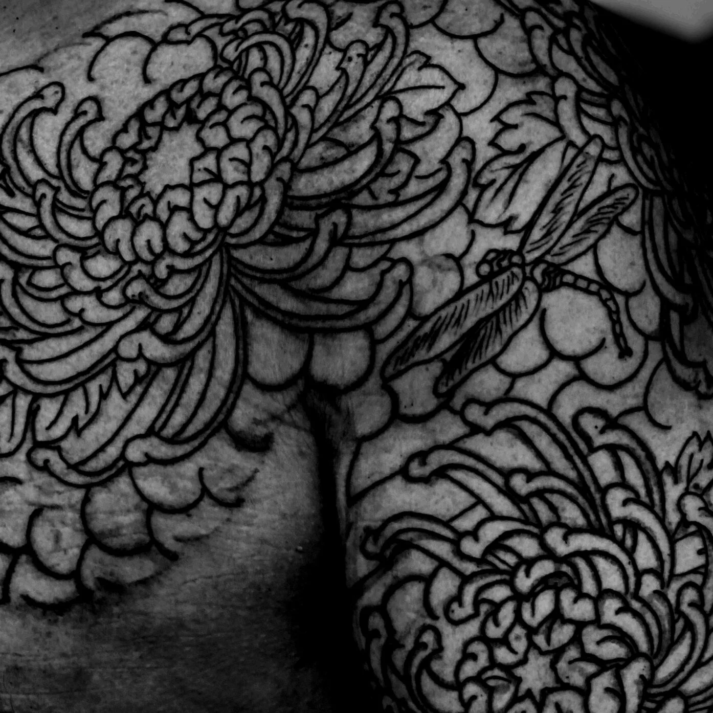 Best Tattoo Artist Denver Colorado Tradition Tattooing