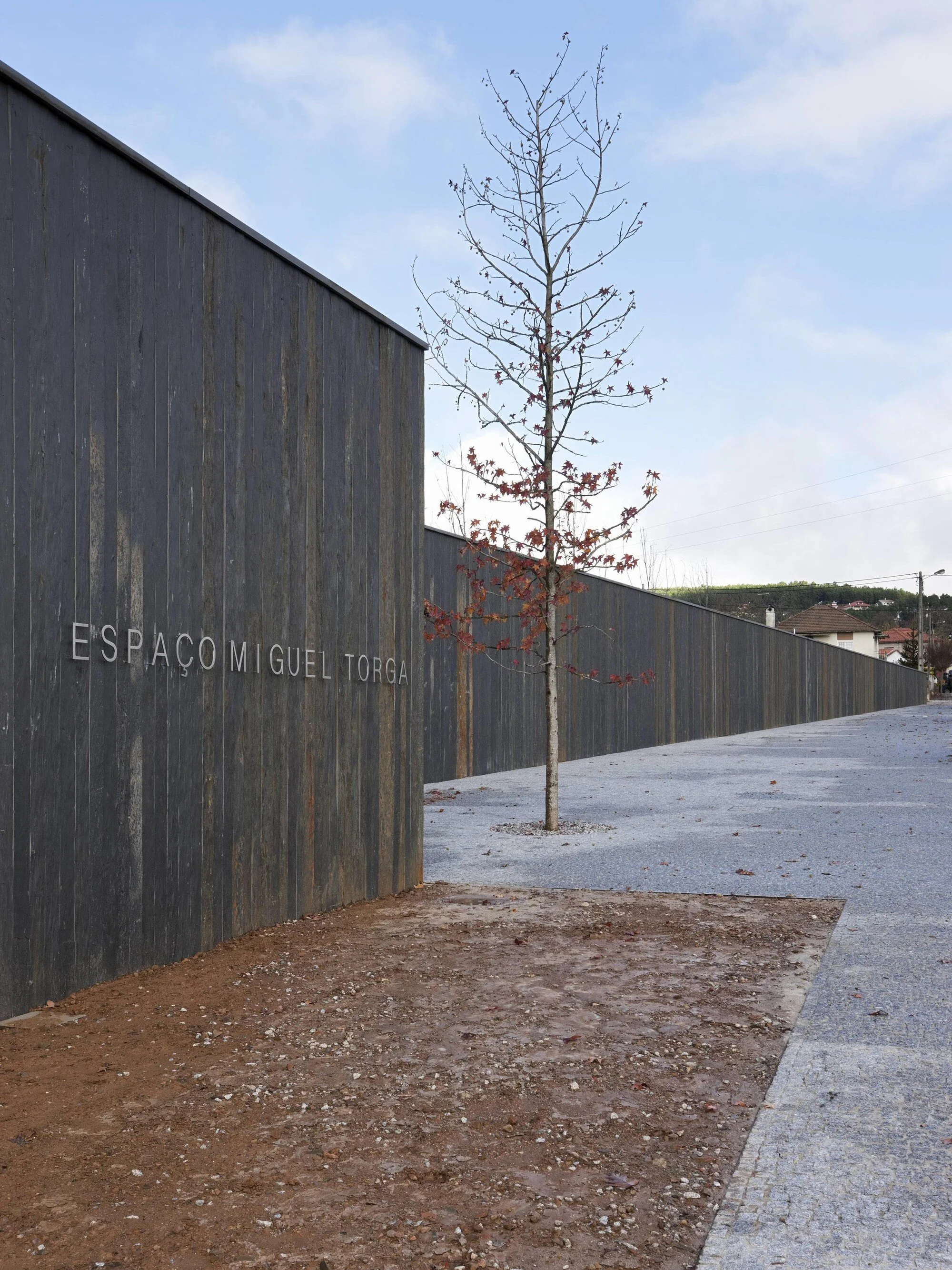 Coimbra recorda Miguel Torga quando passam 25 anos sobre a morte do escritor