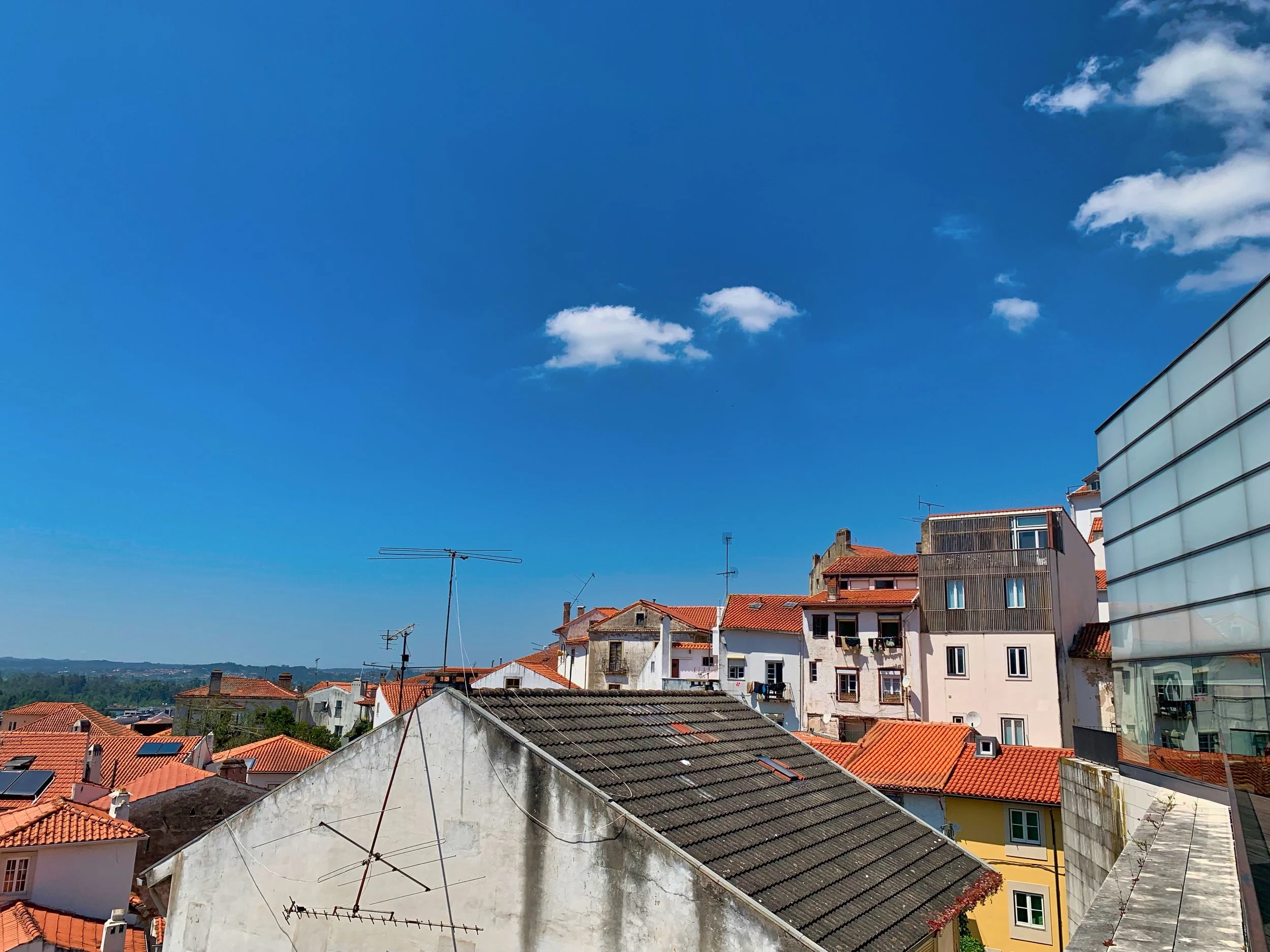 Museu Machado de Castro celebra centenário de Nadir Afonso com exposição