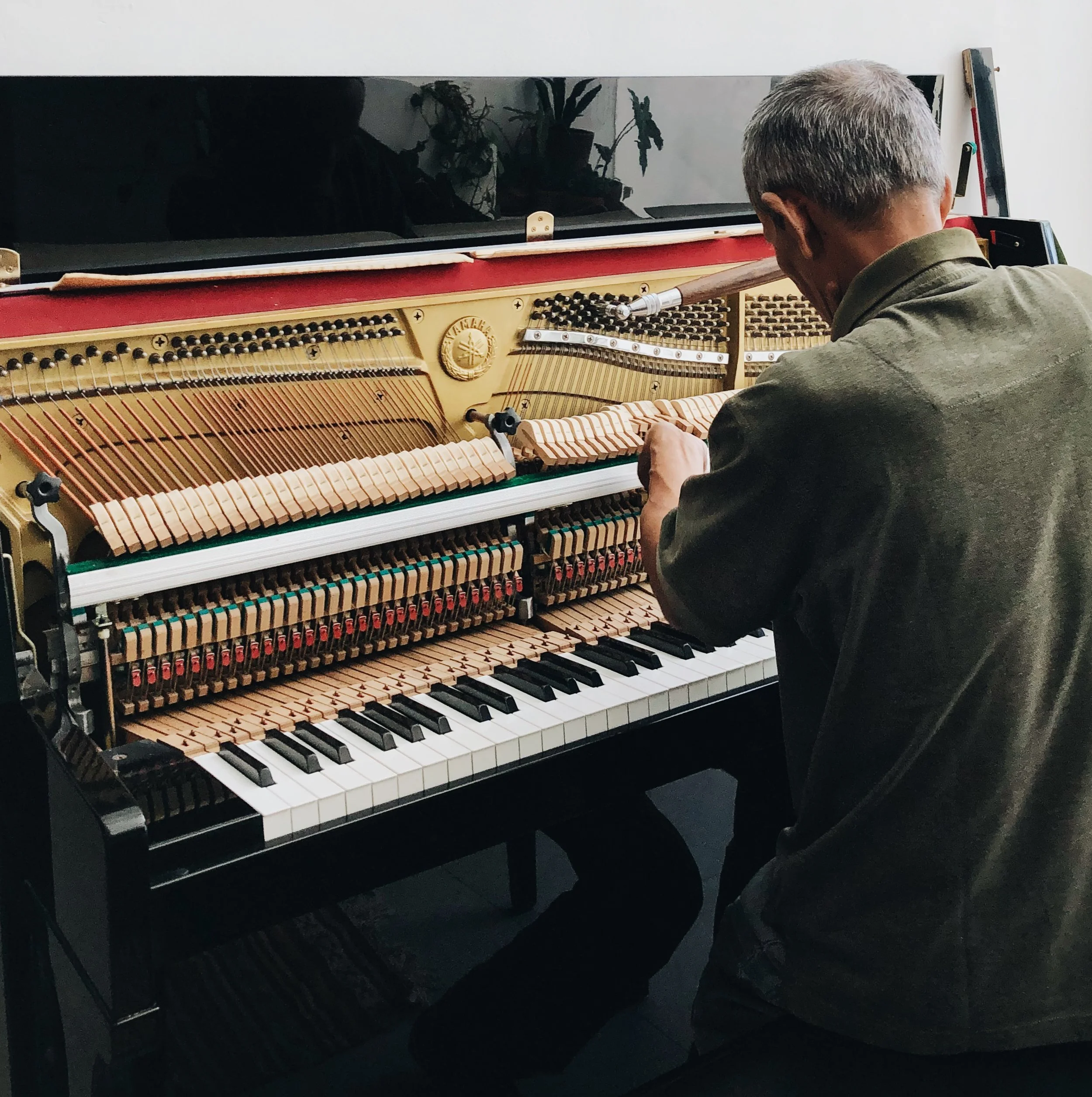 V Coimbra World Piano Meeting junta uma centena de jovens pianistas de mais de 20 países