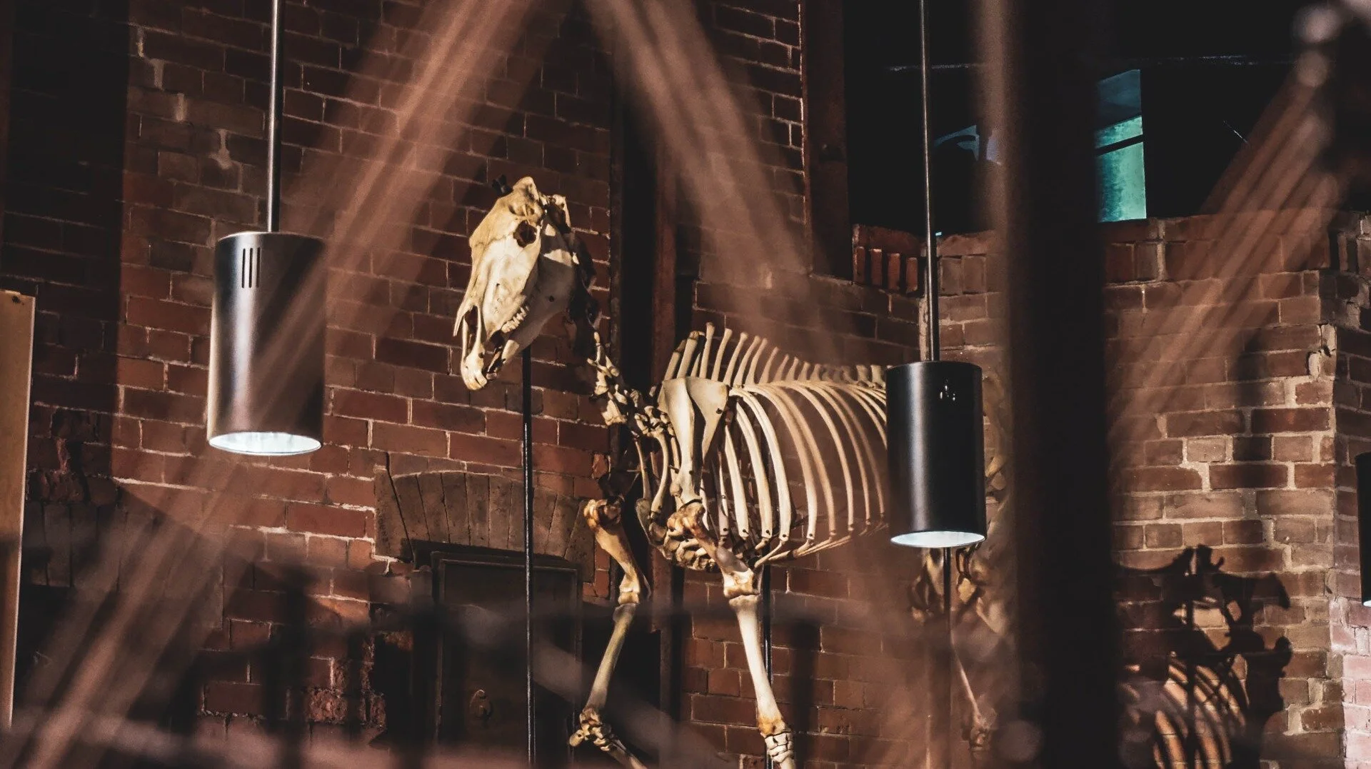 Visita ao universo de Leonardo da Vinci  na Casa das Caldeiras em fotos