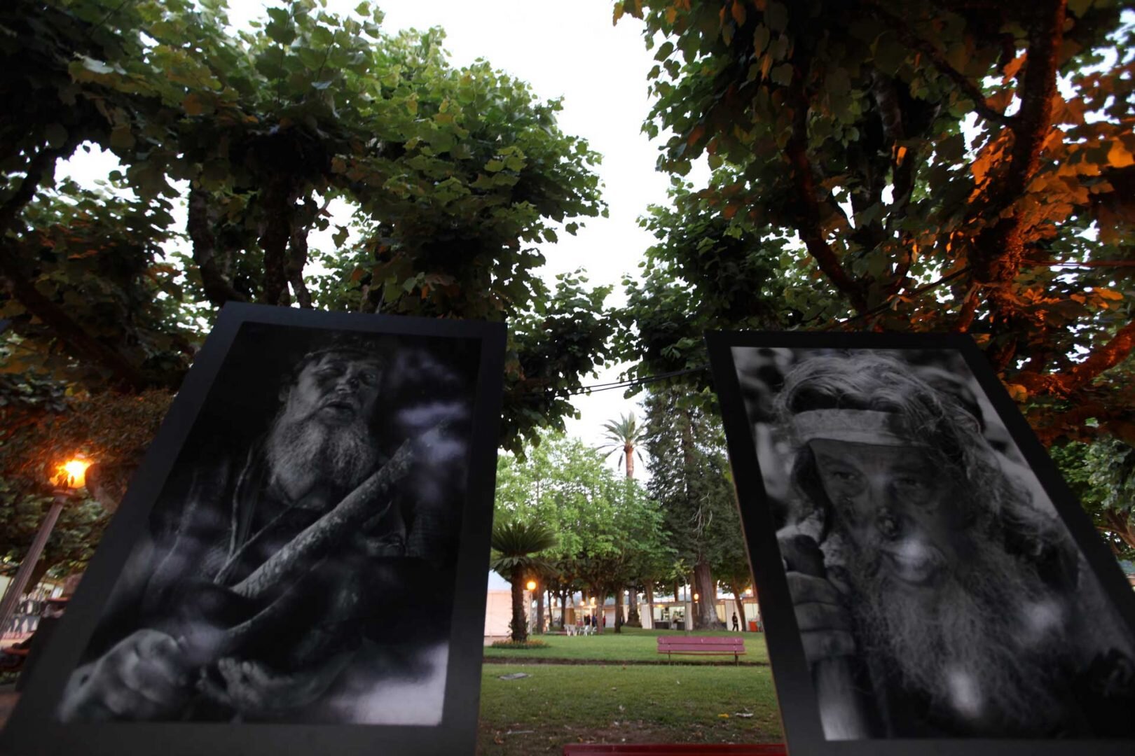 Sétima edição da Feira Cultural de Coimbra adiada para 2021 e com novo local