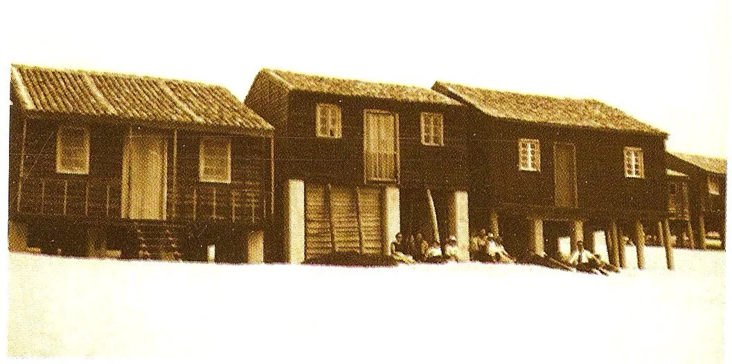 Cantanhede aposta na preservação da Casa Gandaresa e dos Palheiros da Tocha