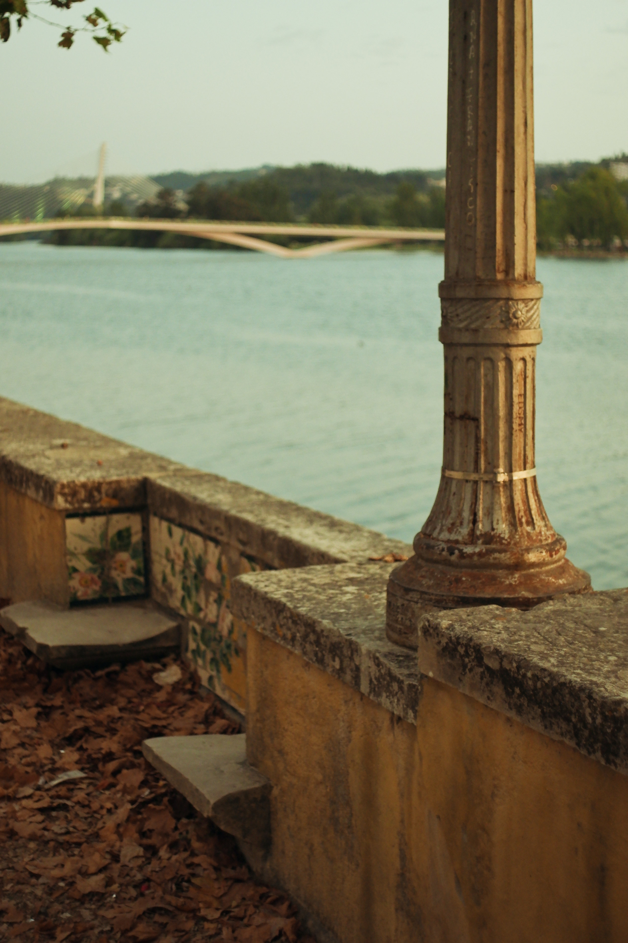 Coimbra requalifica parque na margem direita do Mondego por 4,8 milhões de euros