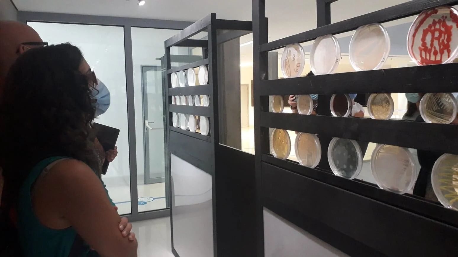 Exploratório apresenta exposição Microrganismos de Estimação