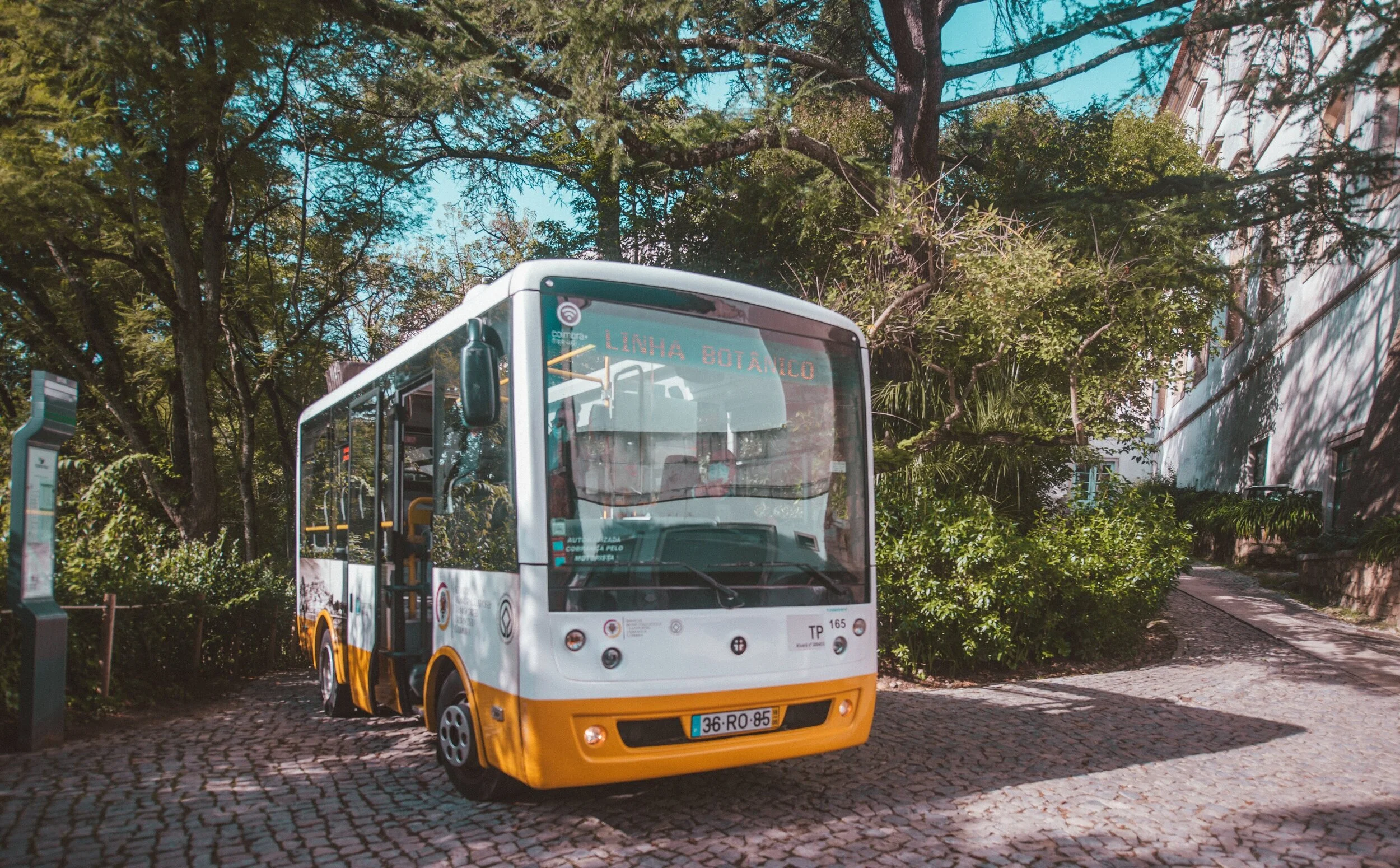  O autocarro do Jardim Botânico de Coimbra está a rasgar património escondido há décadas