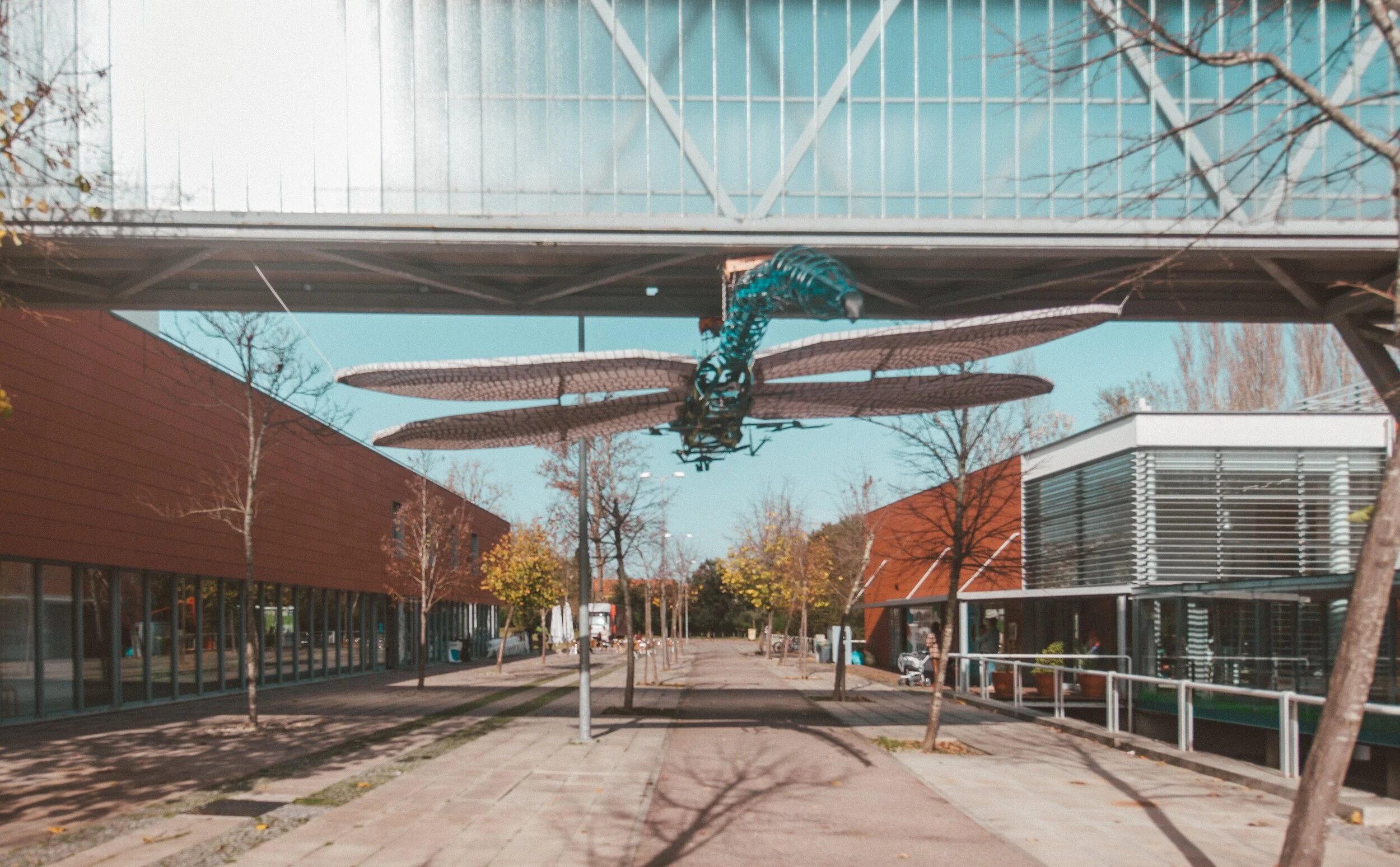 Explorastórias em Casa: Exploratório de Coimbra lança programa online para toda a família!