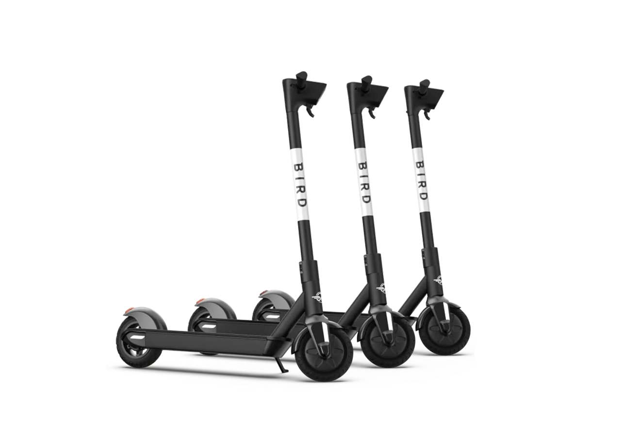 Bird: as trotinetes elétricas estão de regresso à cidade de Coimbra