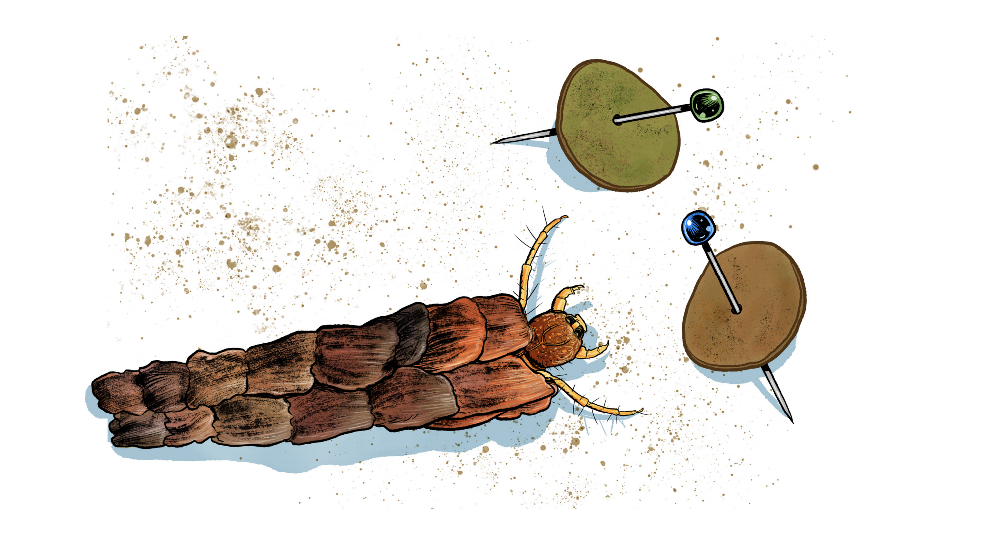 Conheça a banda desenhada em torno da proteção dos cursos de água desenvolvida por Investigadores da UC e ilustrações de André Caetano