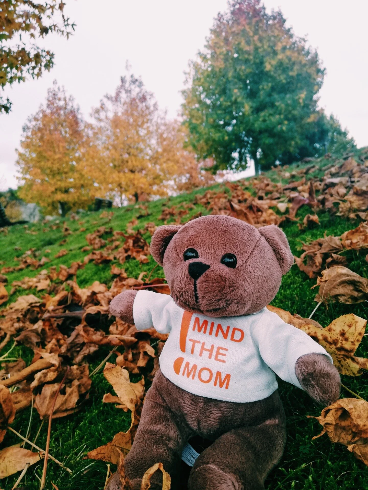 Universidade de Coimbra: “Mind the Mom”, a app que apoia as grávidas em tempo de pandemia