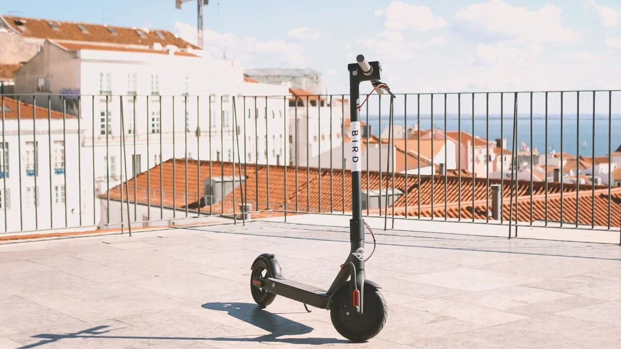 BIRD oferece viagens de trotinete para ir votar no próximo domingo!