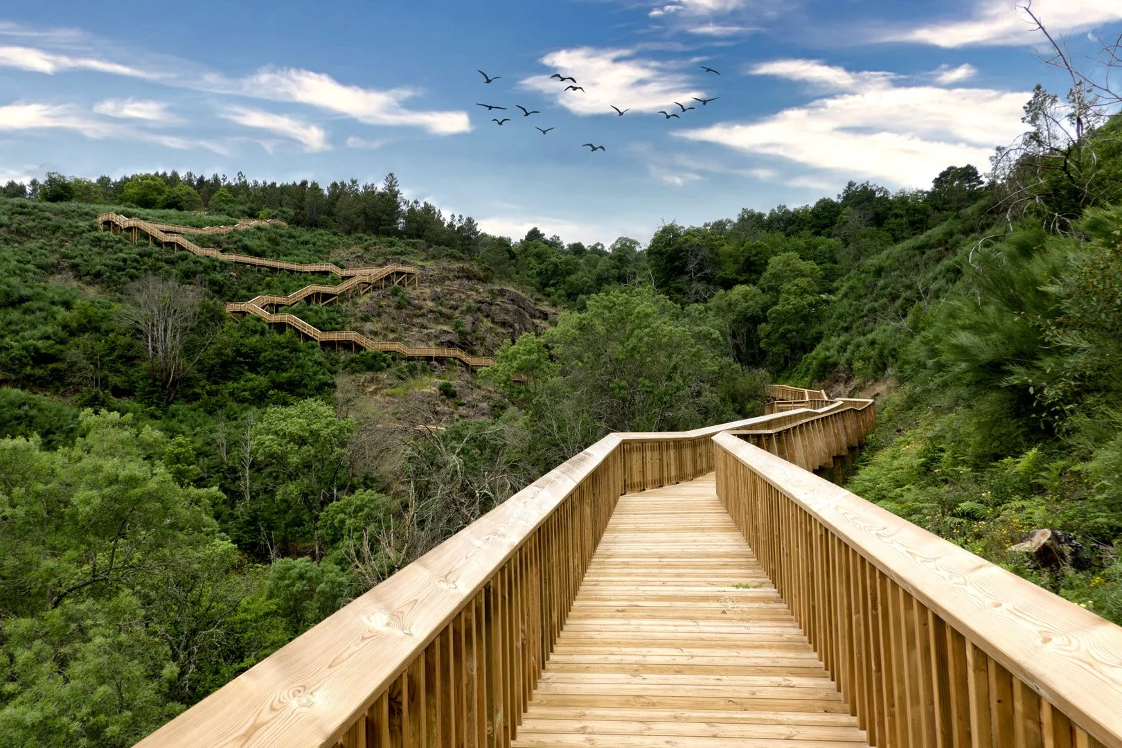 Conheça os Passadiços do Mondego!