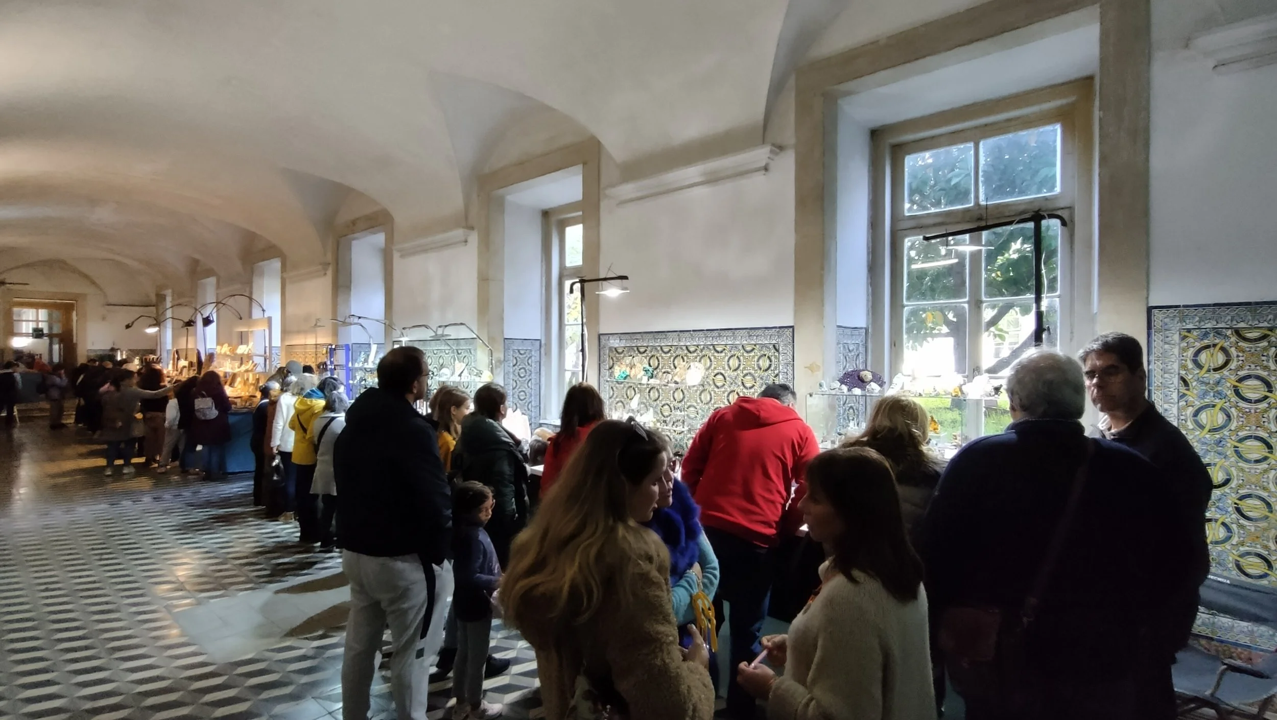 Este fim-de-semana há Feira Internacional de Minerais, Gemas e Fósseis no Museu da Ciência