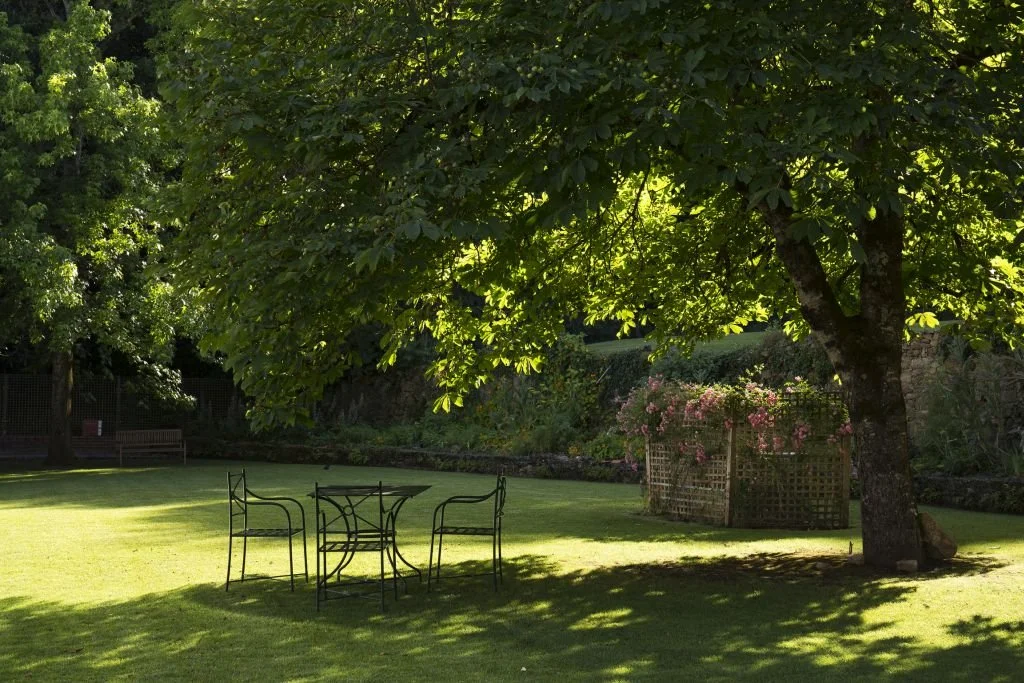 Hotel Quinta das Lágrimas oferece experiências relaxantes de Yoga e Pilates
