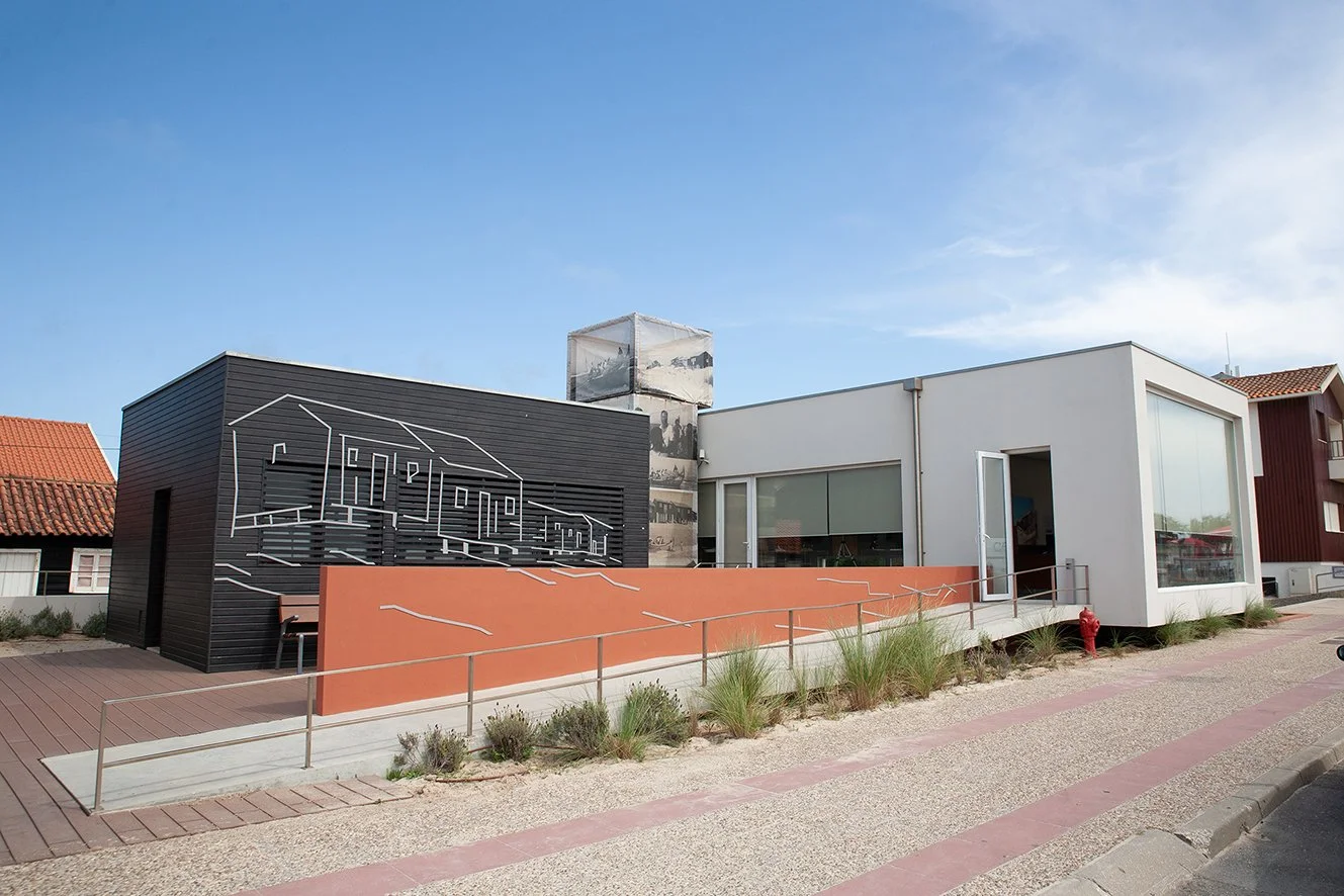 Biofestival de Verão decorre na Praia da Tocha