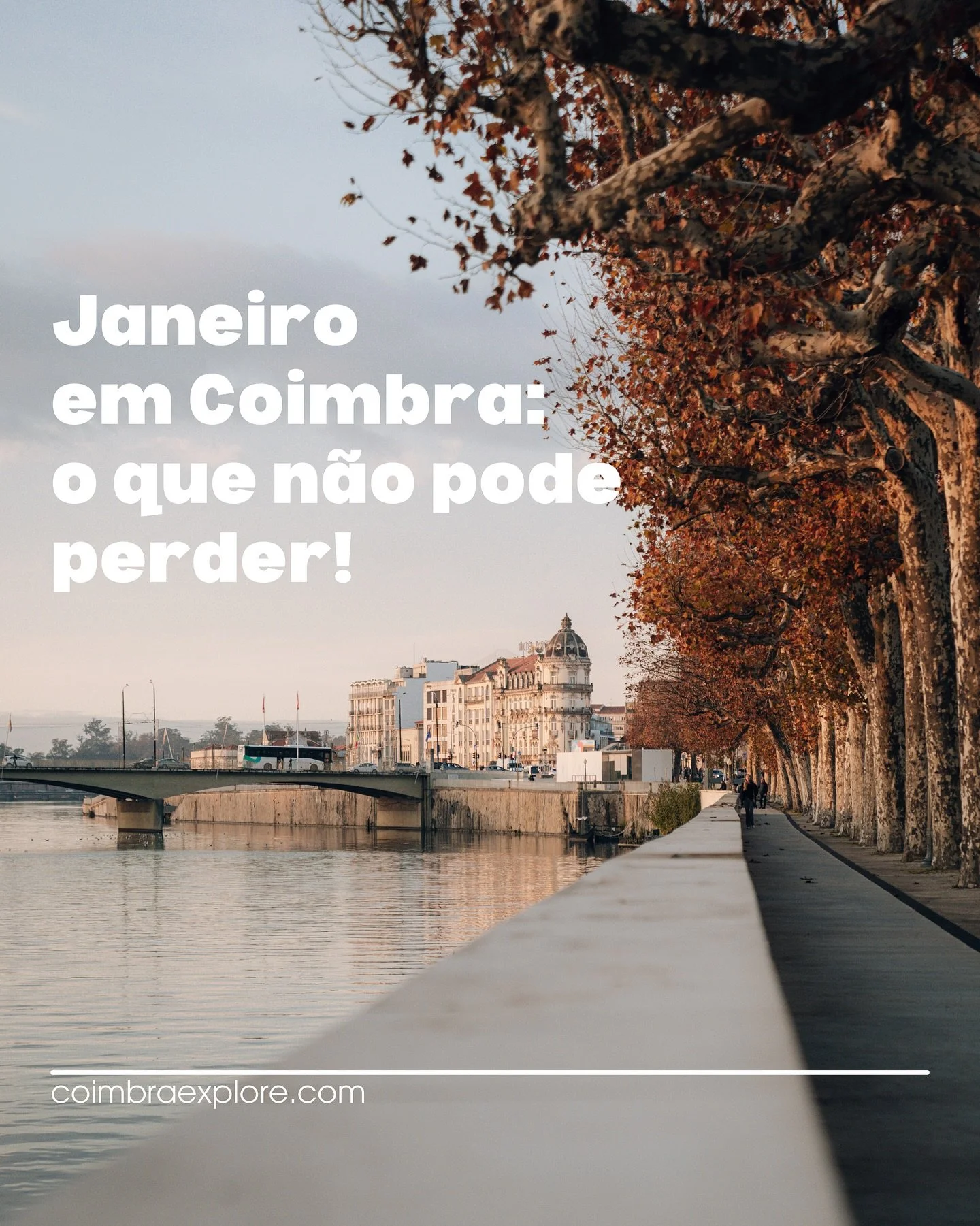 🗓️ Janeiro em Coimbra: come&ccedil;a com cultura!

Novo ano, novas descobertas ✨
Em janeiro, Coimbra convida-o a sair de casa e explorar tudo o que a cidade tem para oferecer: m&uacute;sica, teatro, exposi&ccedil;&otilde;es, conversas e muita inspir