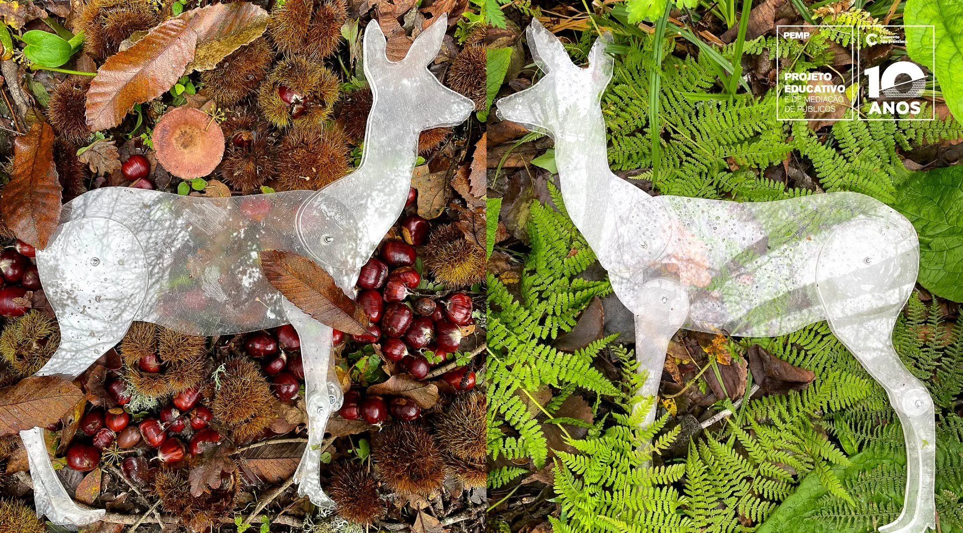 A Corça e a Mãe Terra | Convento São Francisco