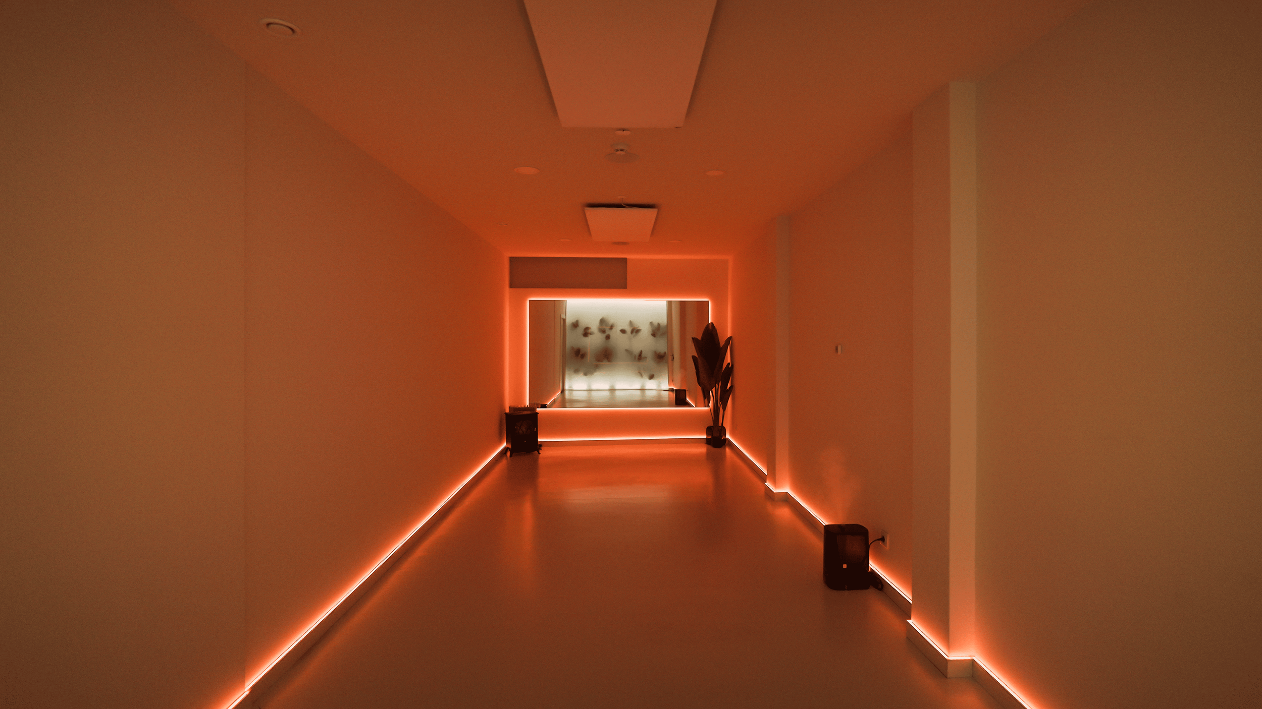 Yatra: um novo espaço dedicado à longevidade, recuperação e performance