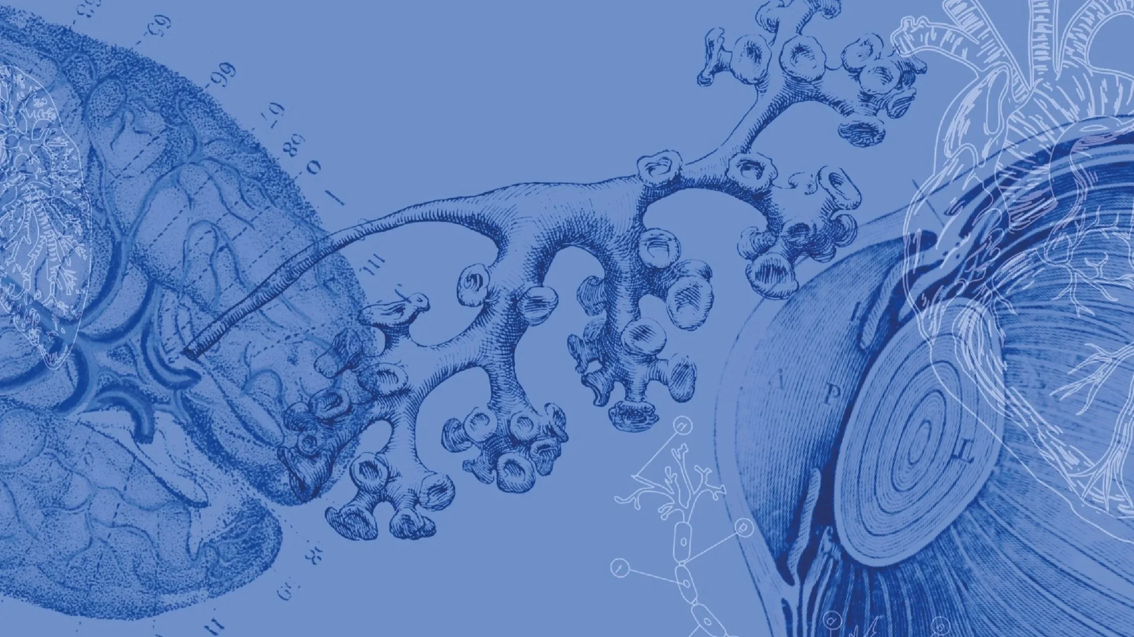 Conversar é o melhor remédio!