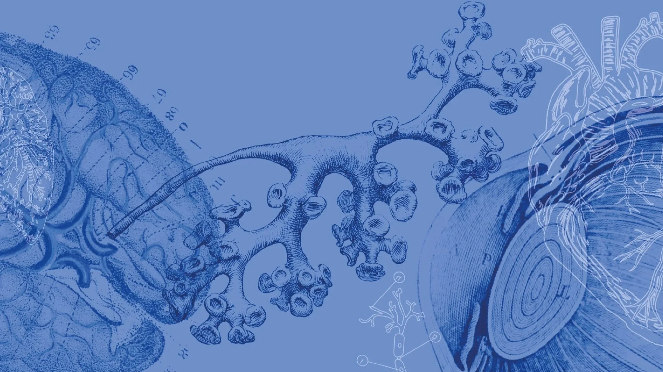 Conversar é o melhor remédio: Como estão os seus pulmões?