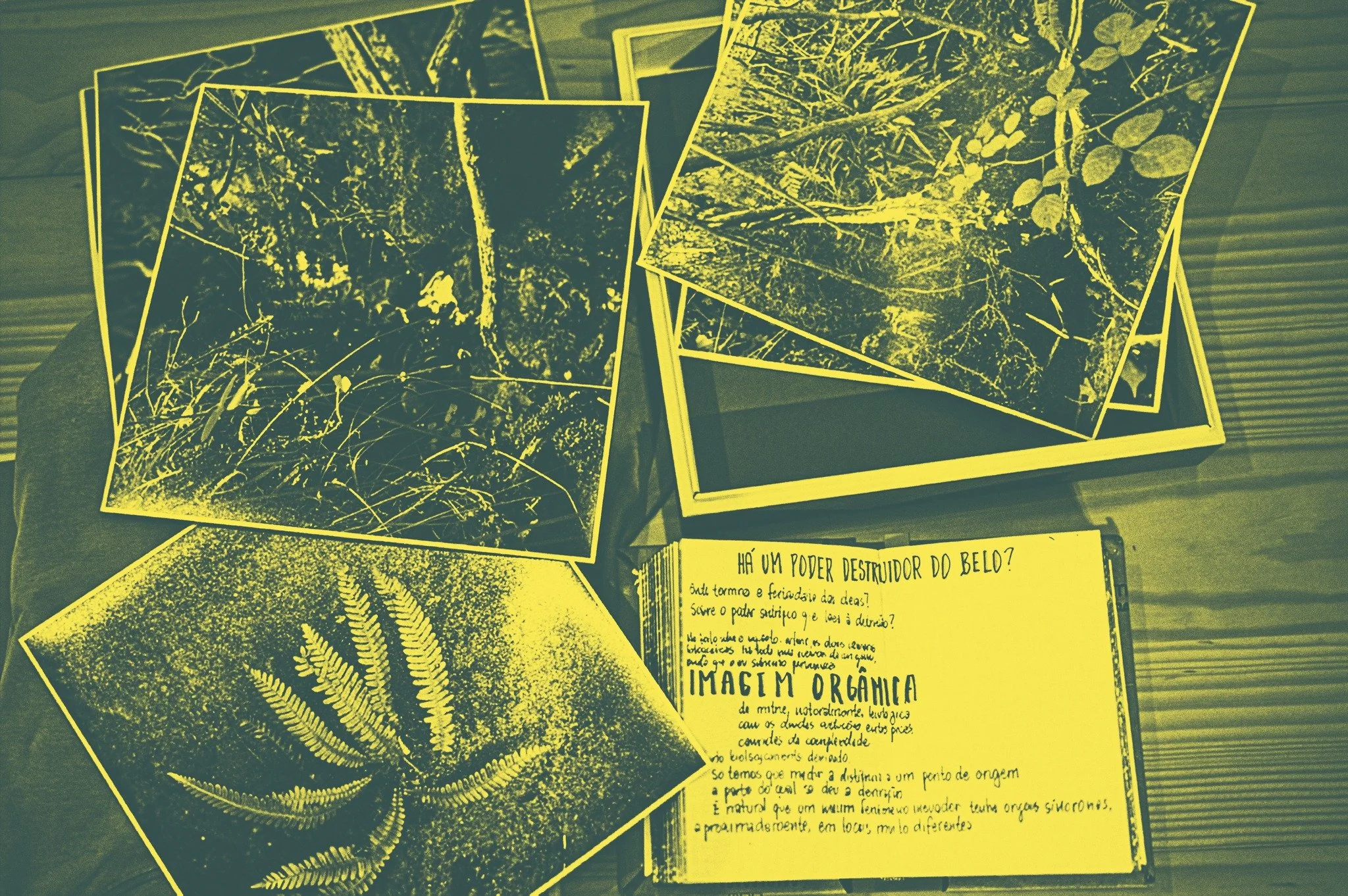 Ser Preciso, Ser Aqui: Conversas Com Pessoas Dotadas de Minúcia | semente atelier