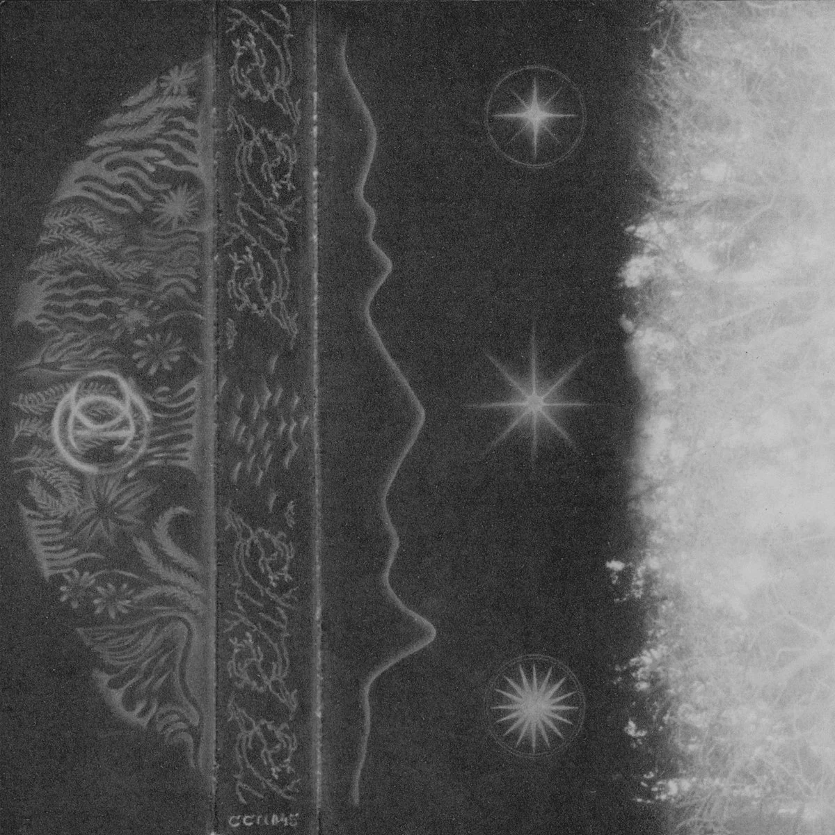 Concerto - alga (Festival Santos da Casa) | Casa das Artes Bissaya Barreto