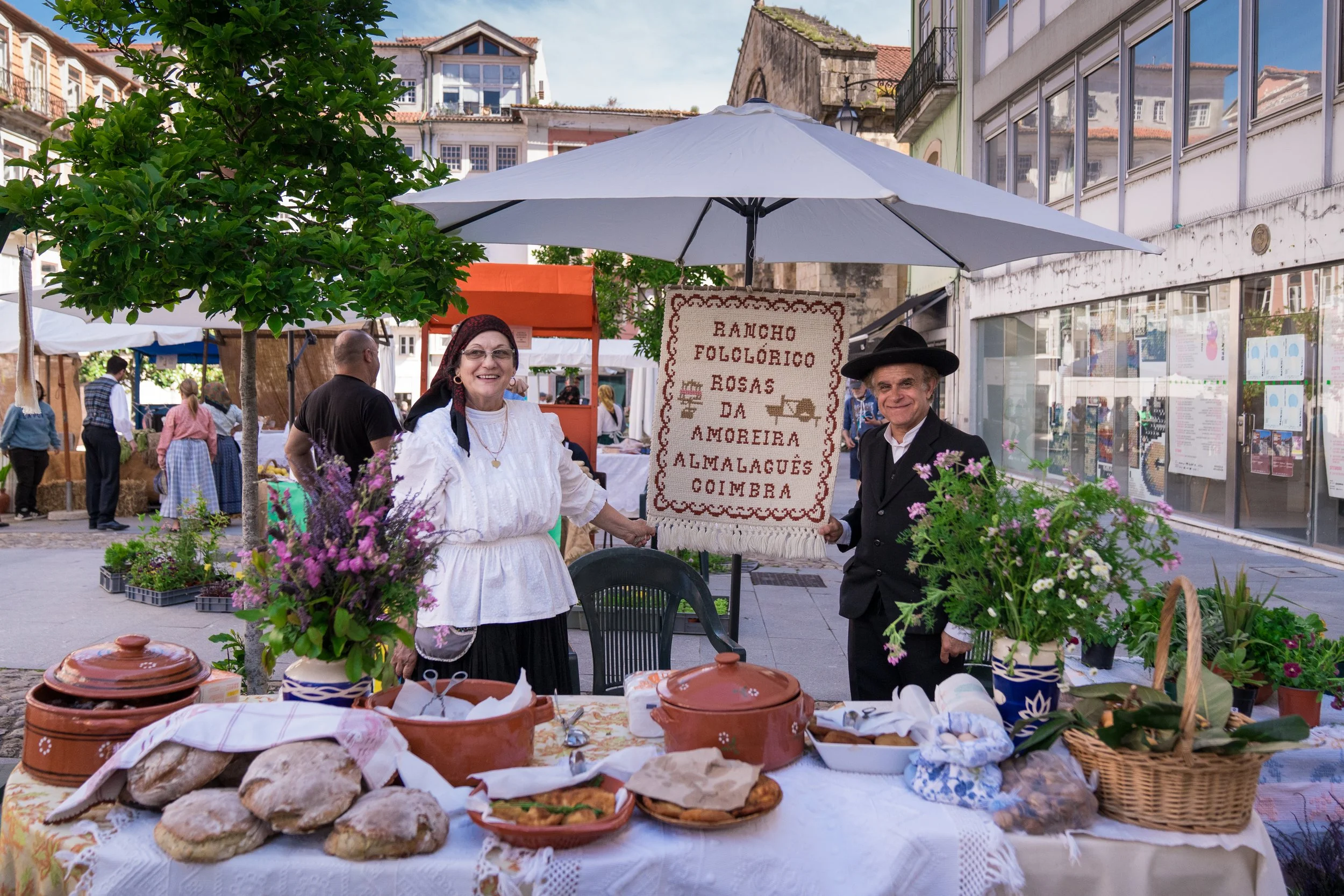 A Baixa de Coimbra volta a florir com a Festa da Flor e da Planta