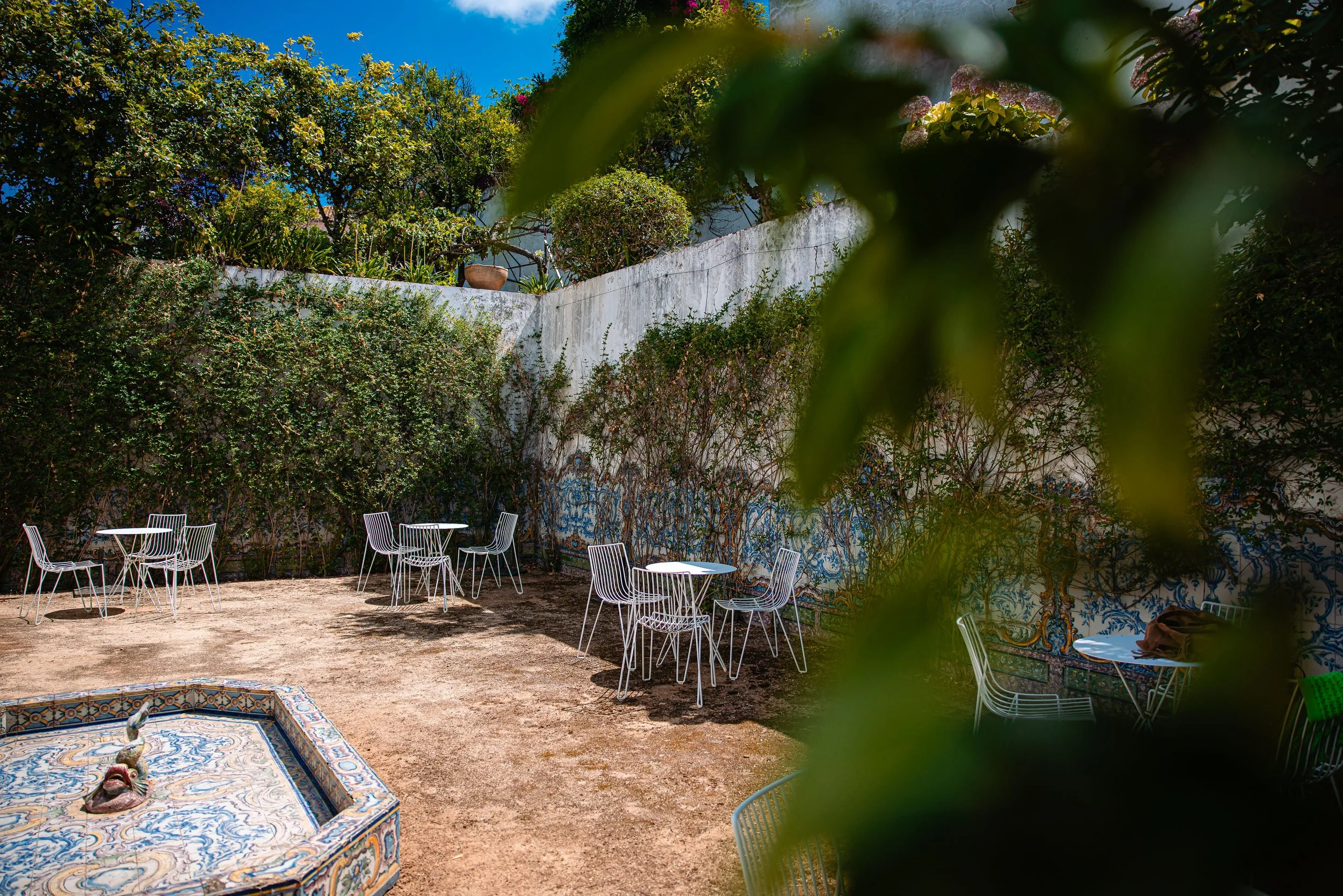 O verão instala-se na Casa da Escrita com uma programação surpreendente!