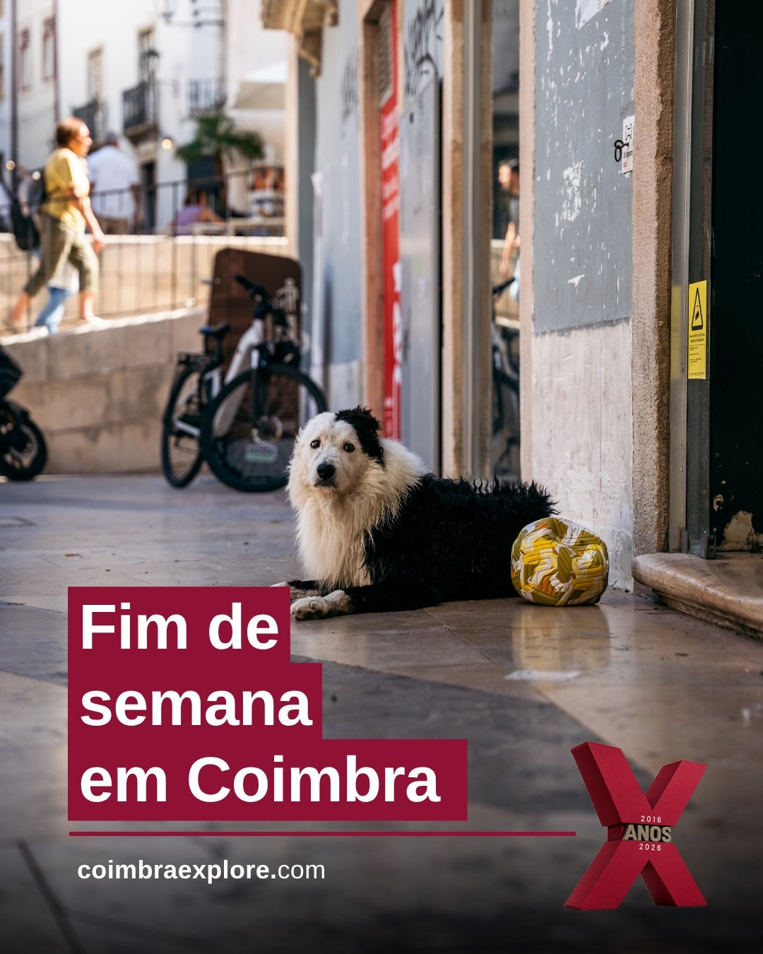 📍 O QUE FAZER EM COIMBRA ESTE FIM DE SEMANA? ✨

Ainda sem planos para o fim de semana? 👀

Concertos, espet&aacute;culos, exposi&ccedil;&otilde;es, mercados e outras experi&ecirc;ncias para aproveitar Coimbra nos pr&oacute;ximos dias. 🎶🎭

Reunimos