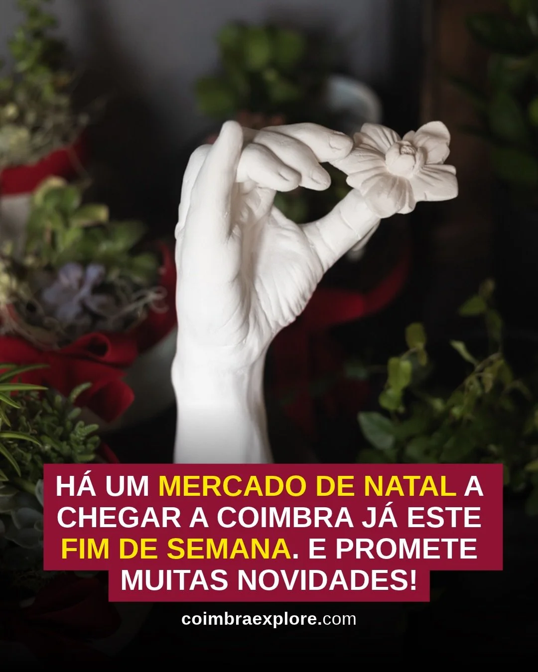 🎄 O NATAL CHEGA J&Aacute; ESTE FIM DE SEMANA A COIMBRA!

A cerca de 20 minutos do centro de Coimbra, a Quinta do Sobreiro, na Lamarosa, recebe mais uma edi&ccedil;&atilde;o do Mercado de Natal da Flores de Coimbra, nos dias 24 e 25 de outubro. ✨

Du
