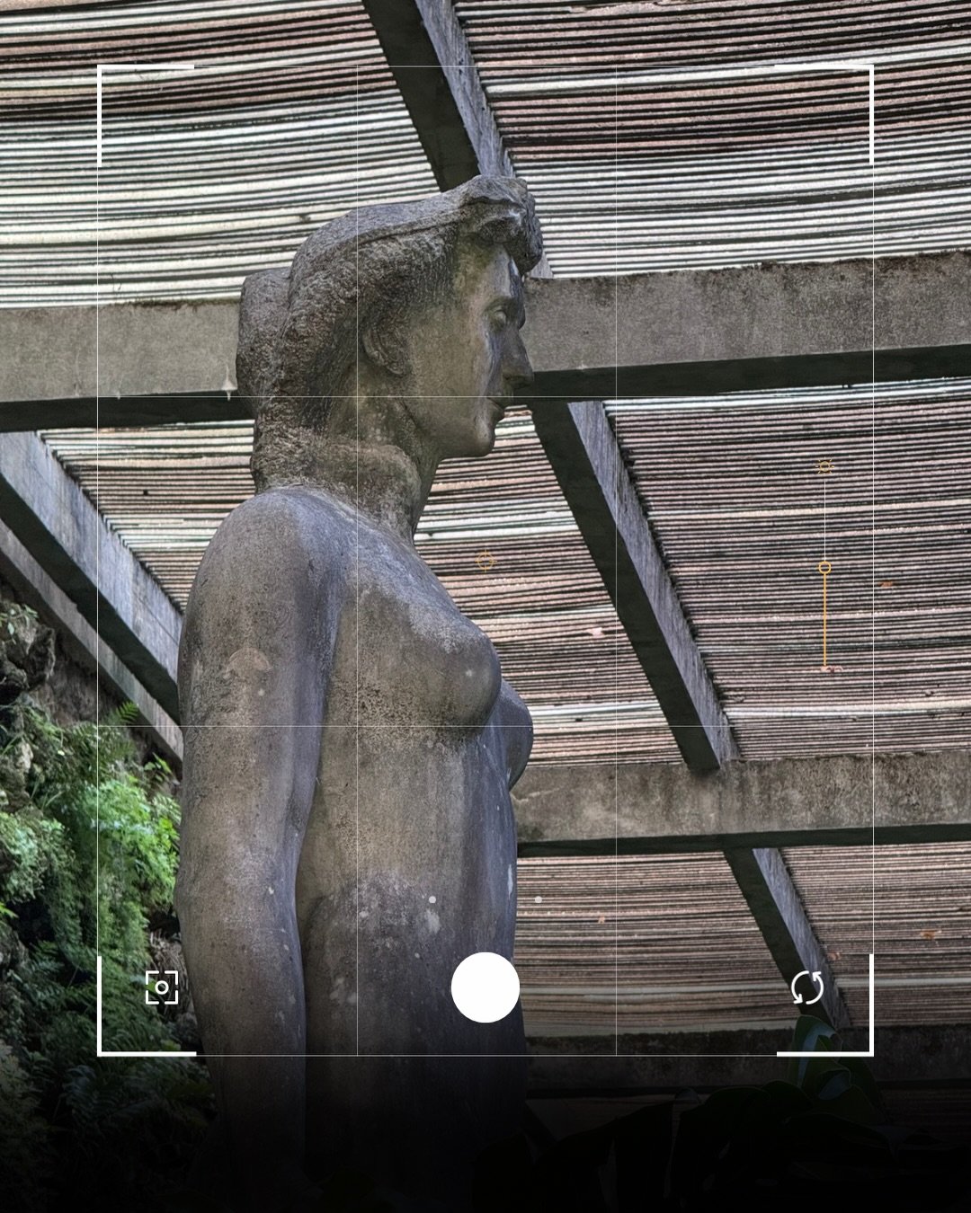 🌿 UM PEQUENO PARA&Iacute;SO VERDE ESCONDIDO EM COIMBRA! 💚

H&aacute; lugares em Coimbra que parecem sa&iacute;dos de um conto de fadas. A Estufa Fria do Jardim Bot&acirc;nico da Universidade de Coimbra &eacute; um deles! 🌱✨

Constru&iacute;da em m